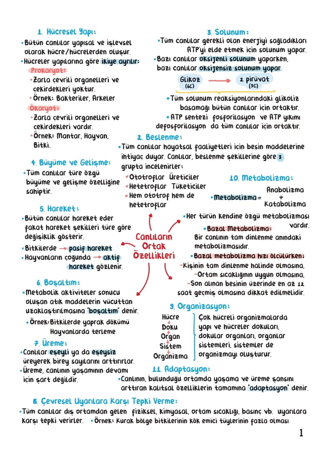 BİYOLOJİ
İÇİNDEKİLER
Canlıların Ortak Özellikleri
1
Canlıların Temel Bileşenleri.
3
Hücre
13
Canlıların Sınıflandırılması.
28
Hücre Bölünm