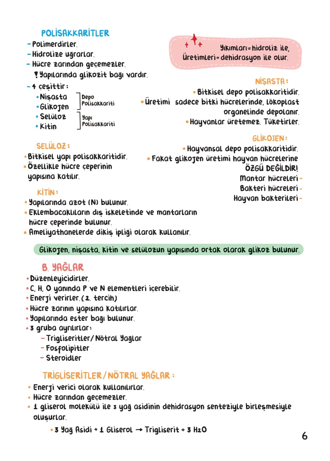 BİYOLOJİ
İÇİNDEKİLER
Canlıların Ortak Özellikleri
1
Canlıların Temel Bileşenleri.
3
Hücre
13
Canlıların Sınıflandırılması.
28
Hücre Bölünm