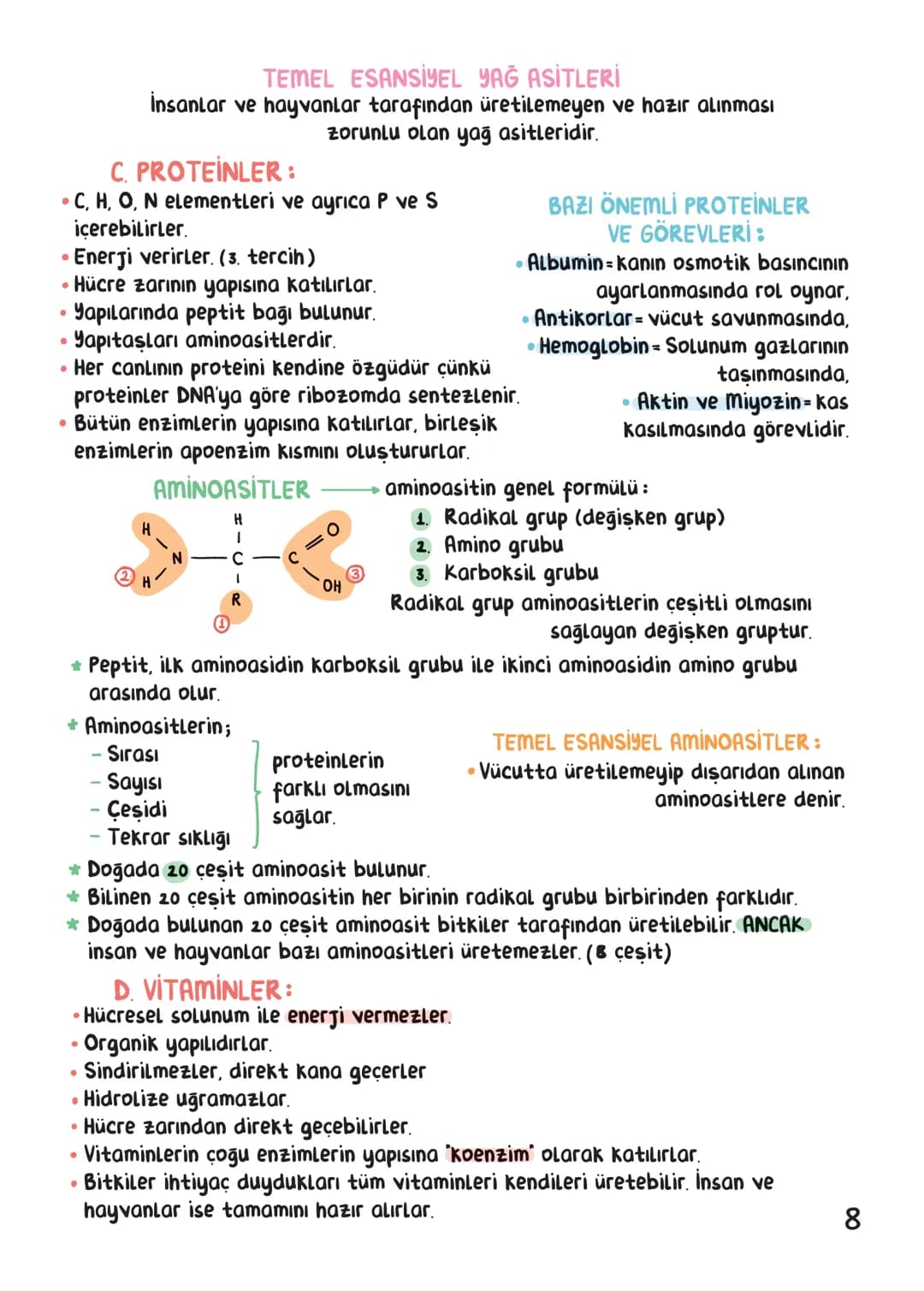 BİYOLOJİ
İÇİNDEKİLER
Canlıların Ortak Özellikleri
1
Canlıların Temel Bileşenleri.
3
Hücre
13
Canlıların Sınıflandırılması.
28
Hücre Bölünm