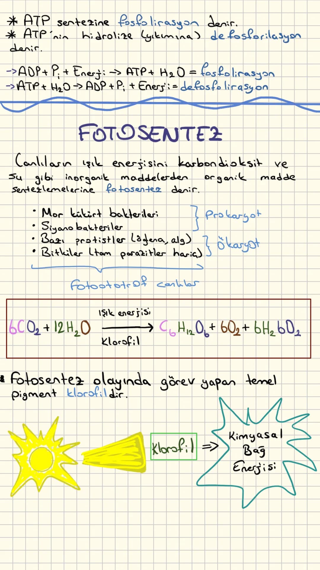ATP
*Hücre Zarndan geçemez.
*Bir hücre den diğerine aktarılamaz.
*Hücre, metabolizması için gerekli ATP'yi kendi içinde
saklar.
*Depolanmaz