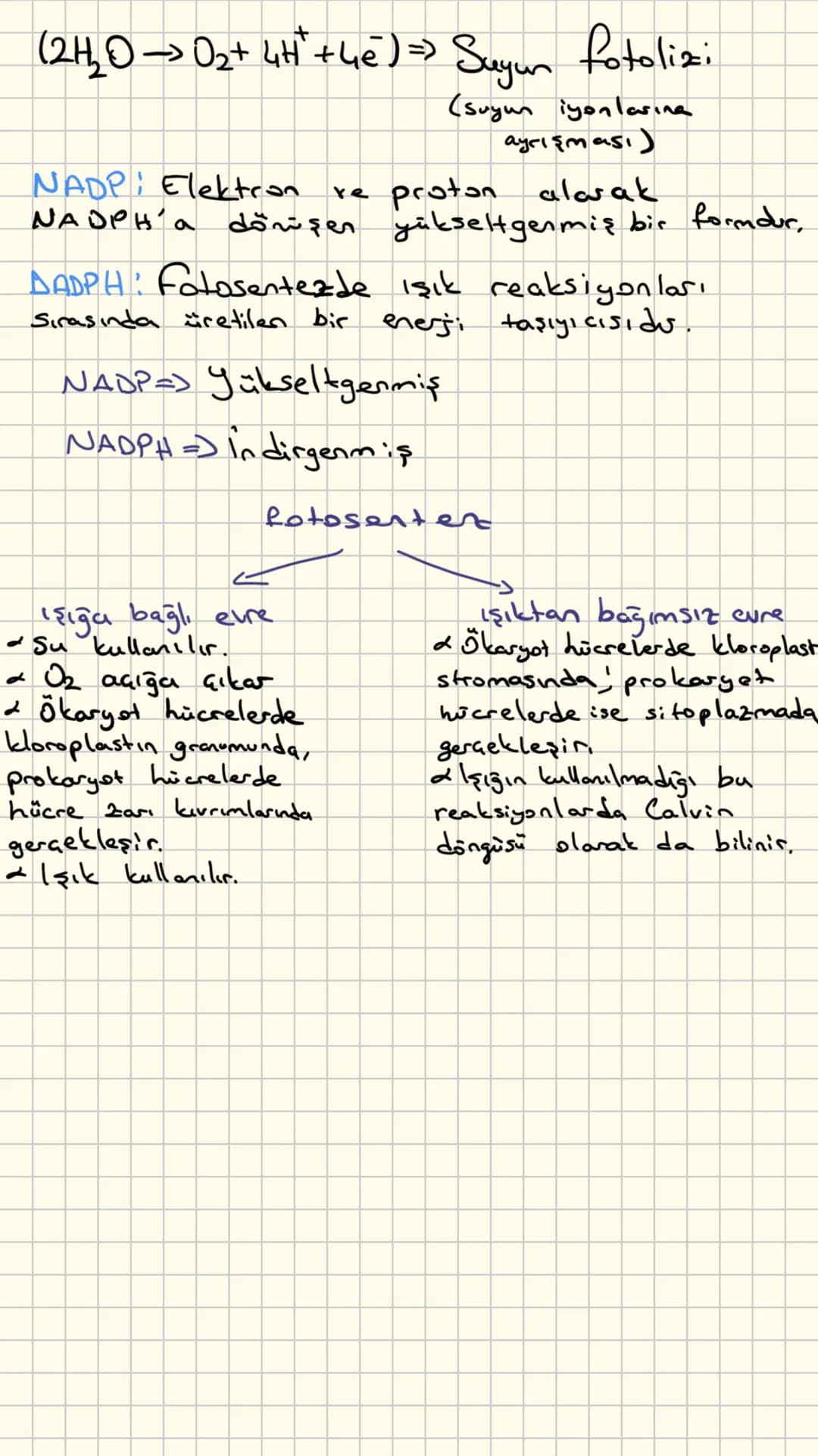 ATP
*Hücre Zarndan geçemez.
*Bir hücre den diğerine aktarılamaz.
*Hücre, metabolizması için gerekli ATP'yi kendi içinde
saklar.
*Depolanmaz