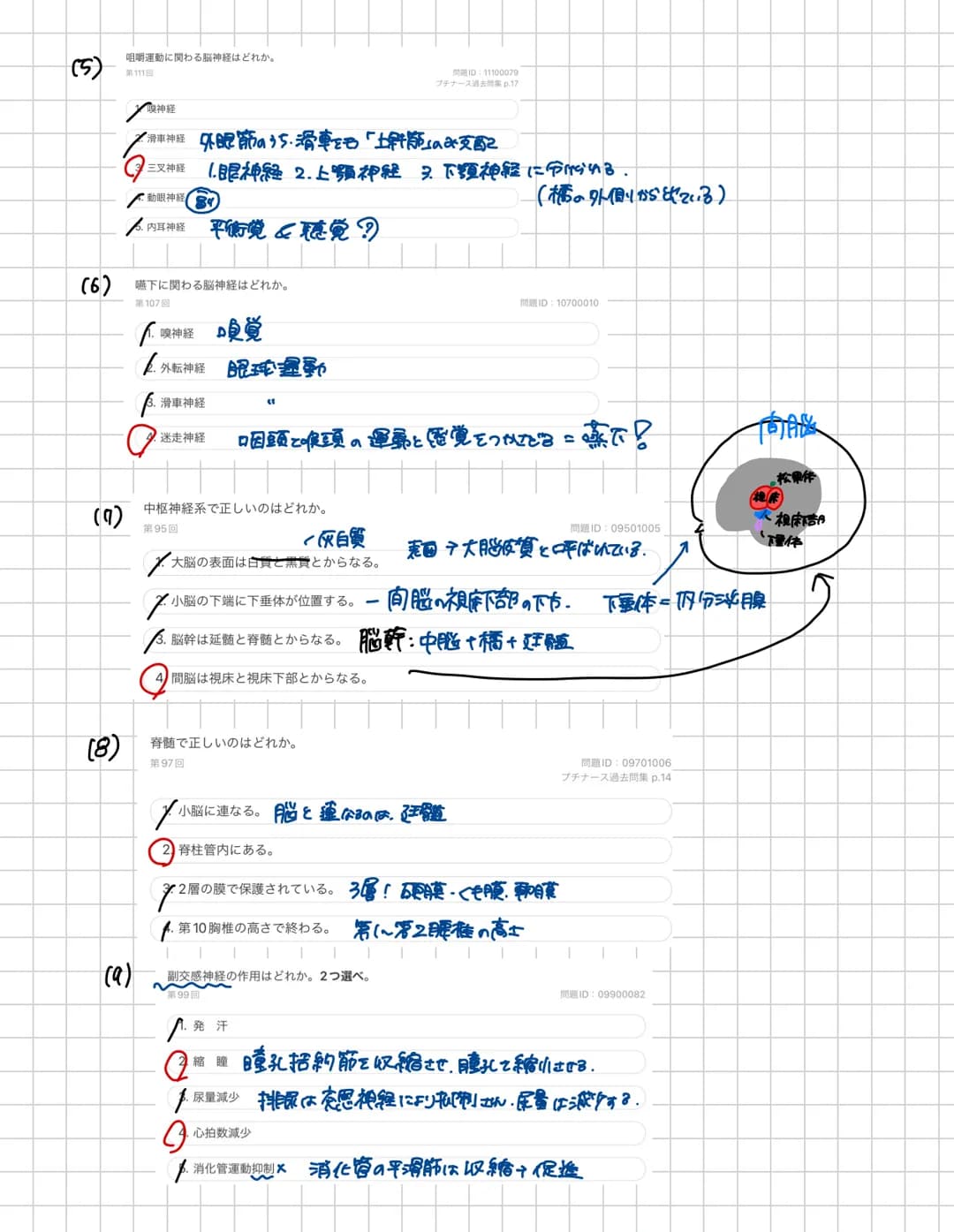 # 脊胃道
脊胃道の長さ:約40~450m 上市:大後頭孔の高さ下方:第1.2腰椎の高さ
頸椎は7個
頸神経は8対217多い!!
* 構造
-脊柱管口
脊髄が通る。
突起
●背骨査の内部構造
後外側溝 後正中橋
側
东
中心當
○中険側
★感覚性ニューロンの
細胞体が
有