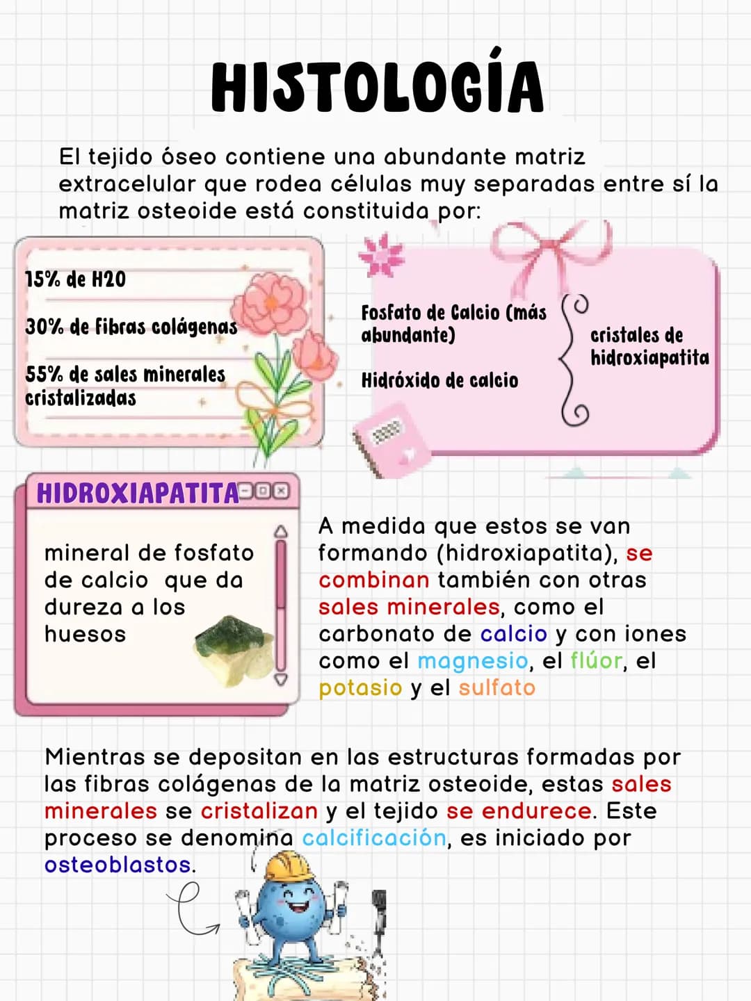 # FUNCIONES DEL HUESO
constituye aproximadamente el 18% del peso corporal
Sostén
Protección
Calc
Phosphorus
Homeostasis mineral
Asist