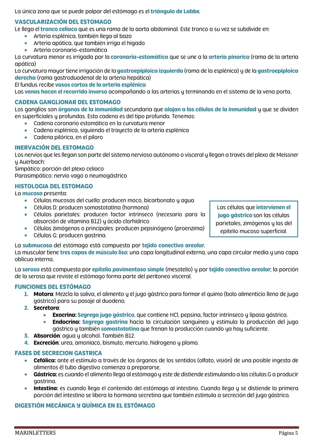 externo, que permite el control voluntario de la defecación.
La contracción involuntaria del músculo liso contribuye a degradar los aliment