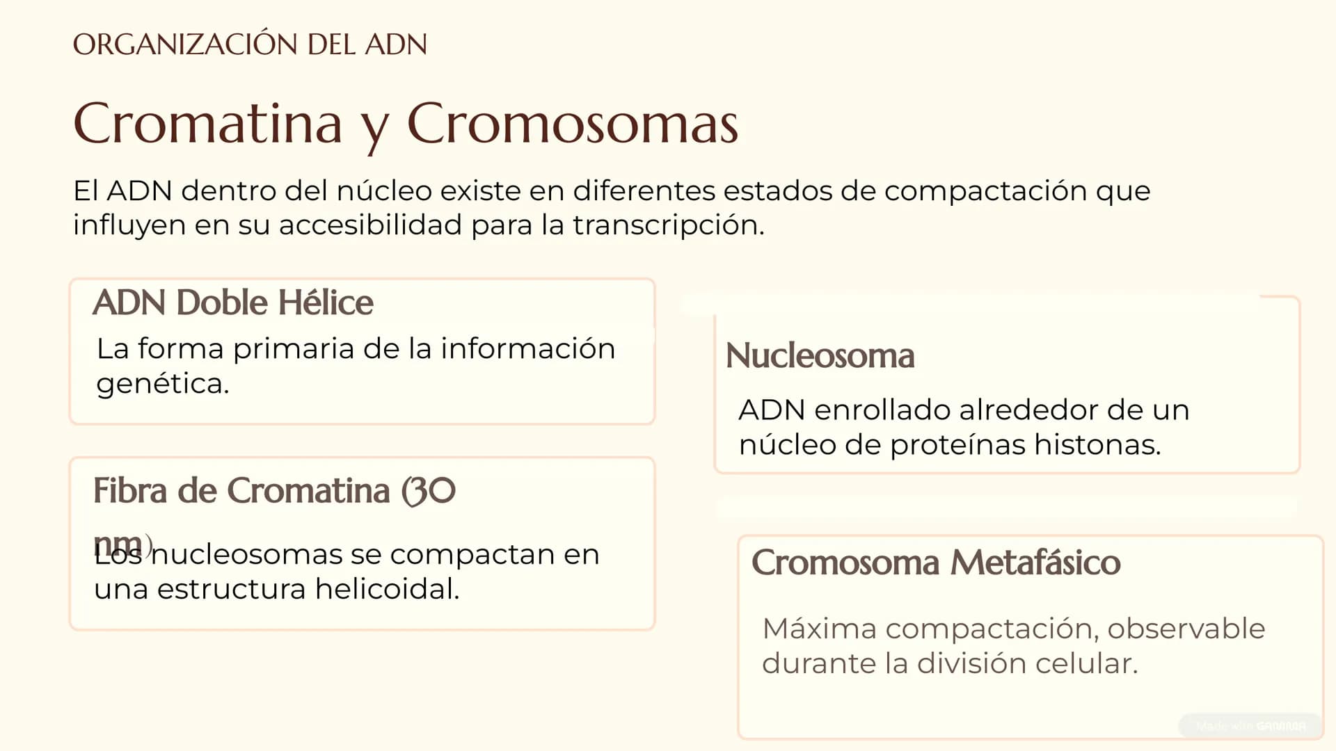 CITOLOGÍA II
Núcleo
Eucariota
Nucleolo
Mitocondria
Ribosomas
Procariota
Nucleoide
Cápsula
Flagelo
Pared celular
Membrana plasmática # E