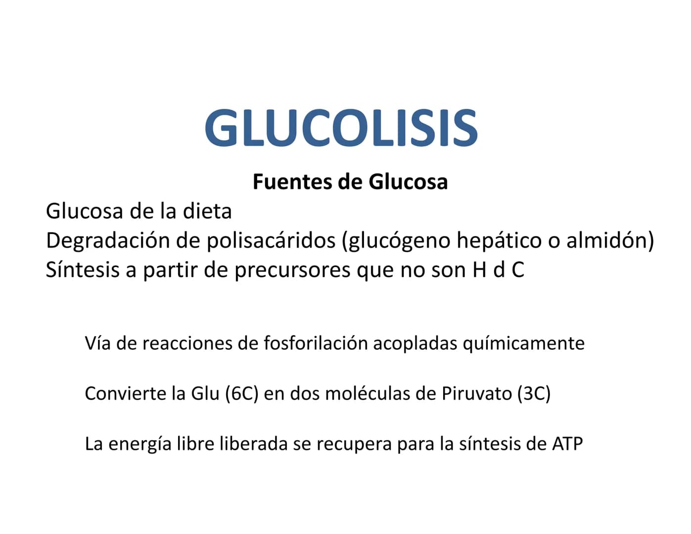 # Metabolismo de la Glucosa Proteínas Polisacáridos Lípidos
Aminoácidos Glucosa
1
Glicerol,
Acidos grasos
↓*
Piruvato
Acetil-CoA
2
Ci
