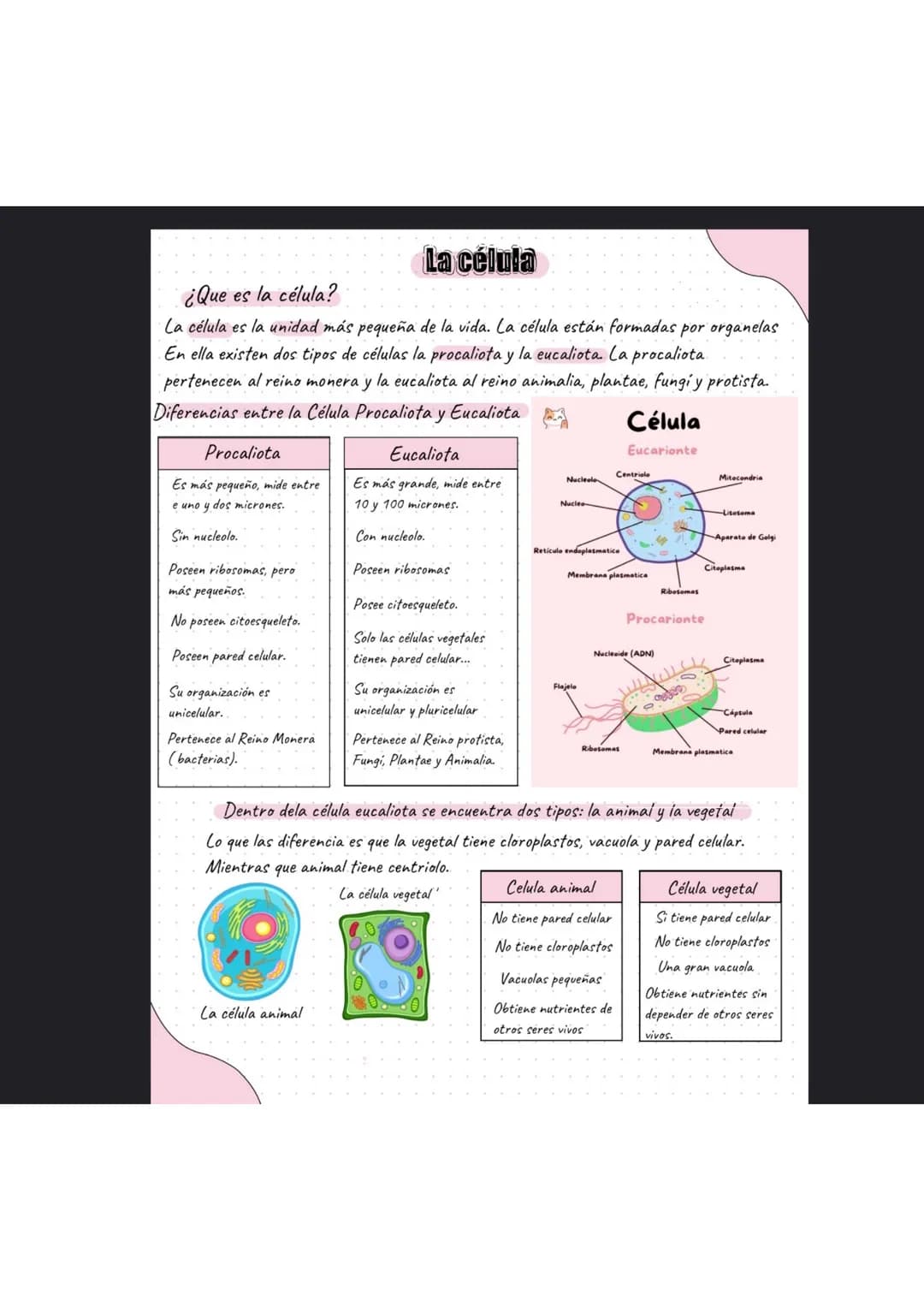 # La célula
¿Que es la célula?
La célula es la unidad más pequeña de la vida. La célula están formadas por organelas
En ella existen dos t