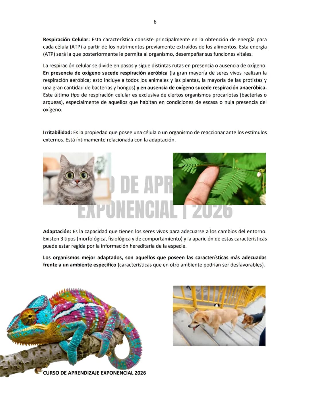 TEMARIO RESUELTO E ILUSTRADO PARA EL INGRESO A NIVEL MEDIO SUPERIOR
PRE-
ECOEMS
2026
CURSO DE APRENDIZAJE EXPONENCIAL 2026 2
CURSO DE APR