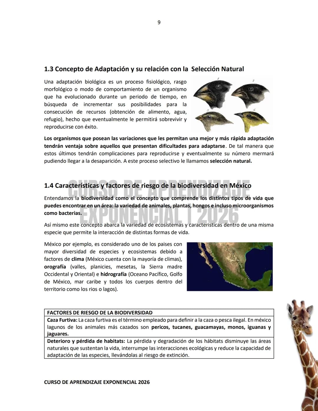 TEMARIO RESUELTO E ILUSTRADO PARA EL INGRESO A NIVEL MEDIO SUPERIOR
PRE-
ECOEMS
2026
CURSO DE APRENDIZAJE EXPONENCIAL 2026 2
CURSO DE APR