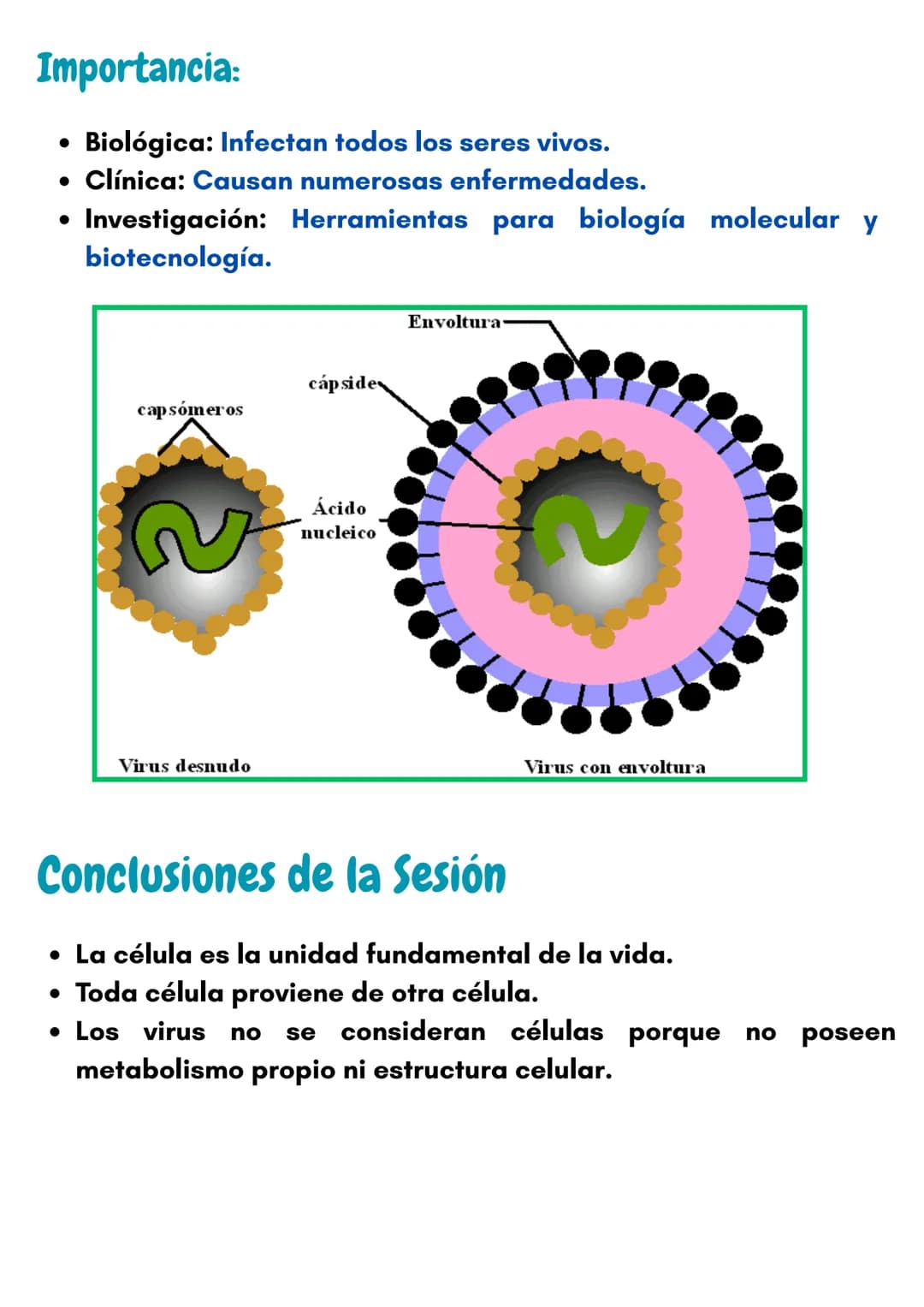 # Introducción a la
Biologia
1.- ¿Qué es la Vida?
Un ser vivo se define como un sistema
complejo, organizado, independiente y
con estruct