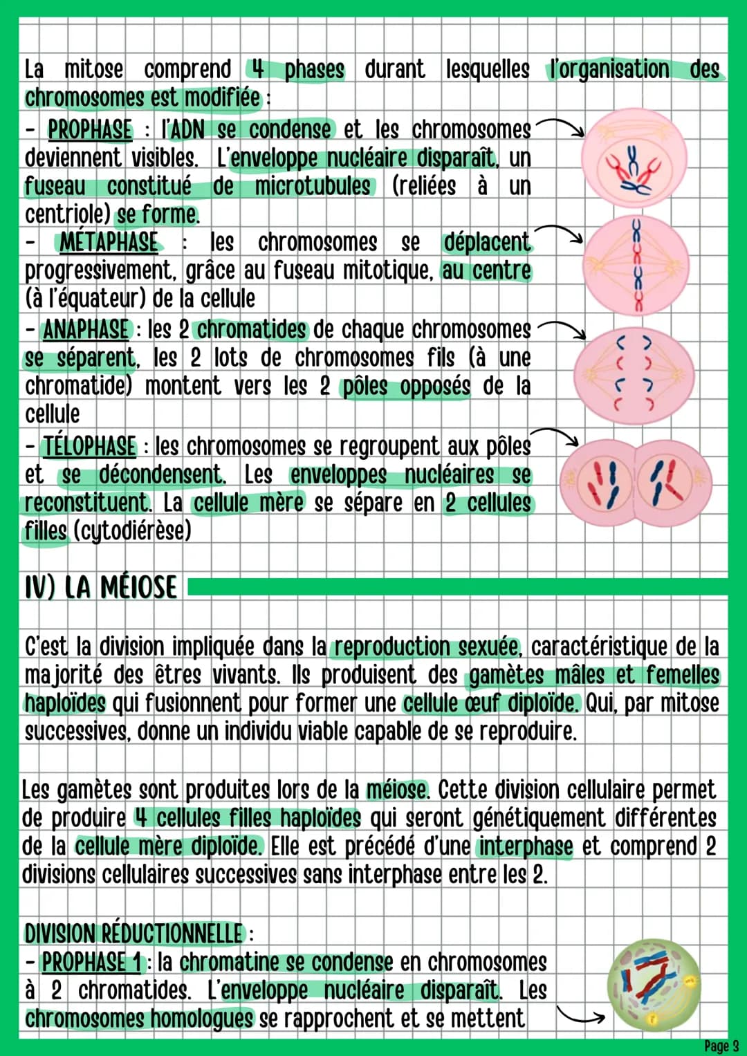 # La reproduction des êtres vivants
dans leur environnement
BIOLOGIE CHAPITRE 3
1) INTRODUCTION
Pour perpétuer leur descendance, les êtres