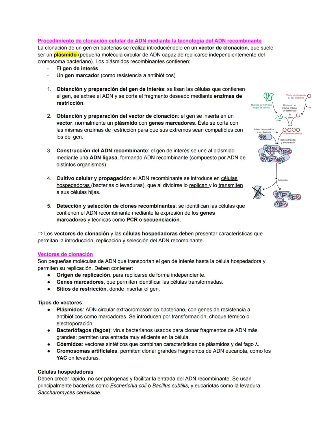# TEMA 14: BIOTECNOLOGÍA
La biotecnología consiste en la utilización de las propiedades y los componentes de los seres vivos
para fines prác