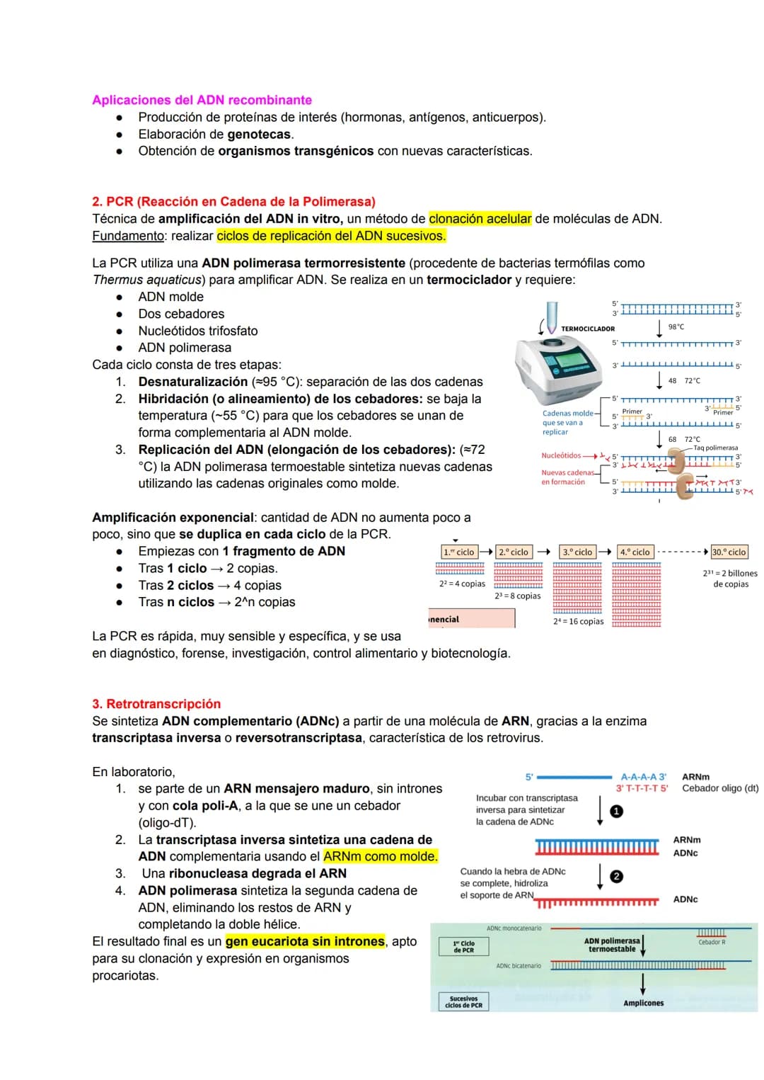 # TEMA 14: BIOTECNOLOGÍA
La biotecnología consiste en la utilización de las propiedades y los componentes de los seres vivos
para fines prác