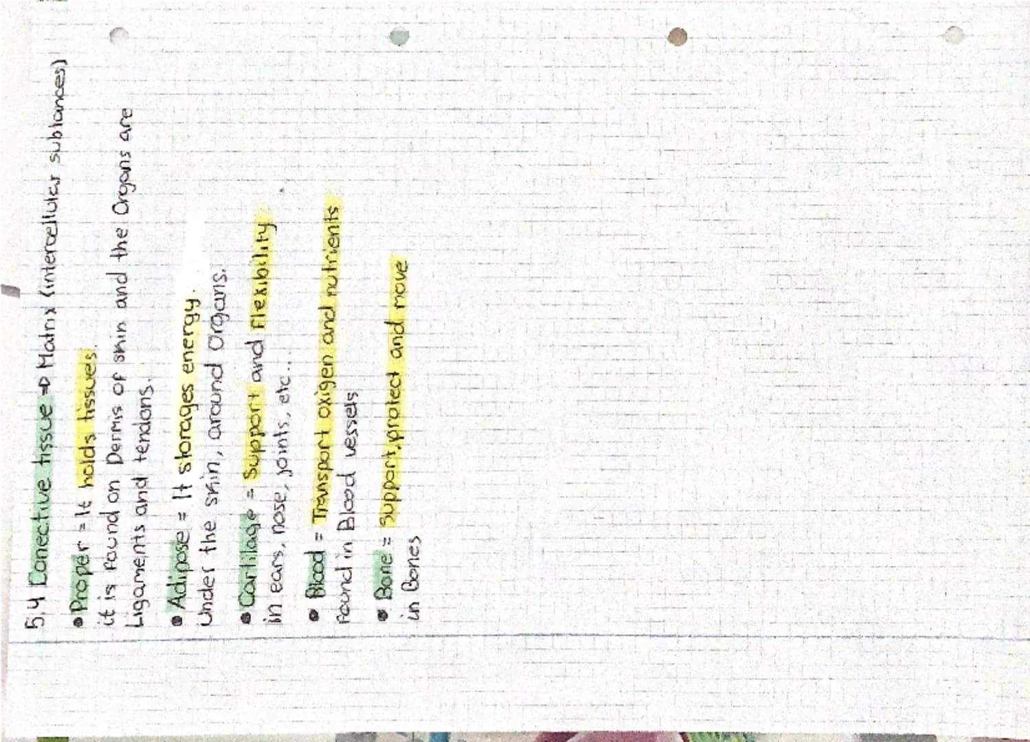 # Biology Review
## 1 Levels of Organisation
### Atom
* Consist of the atoms of the chemical elements that make up living things.
* Oxigen