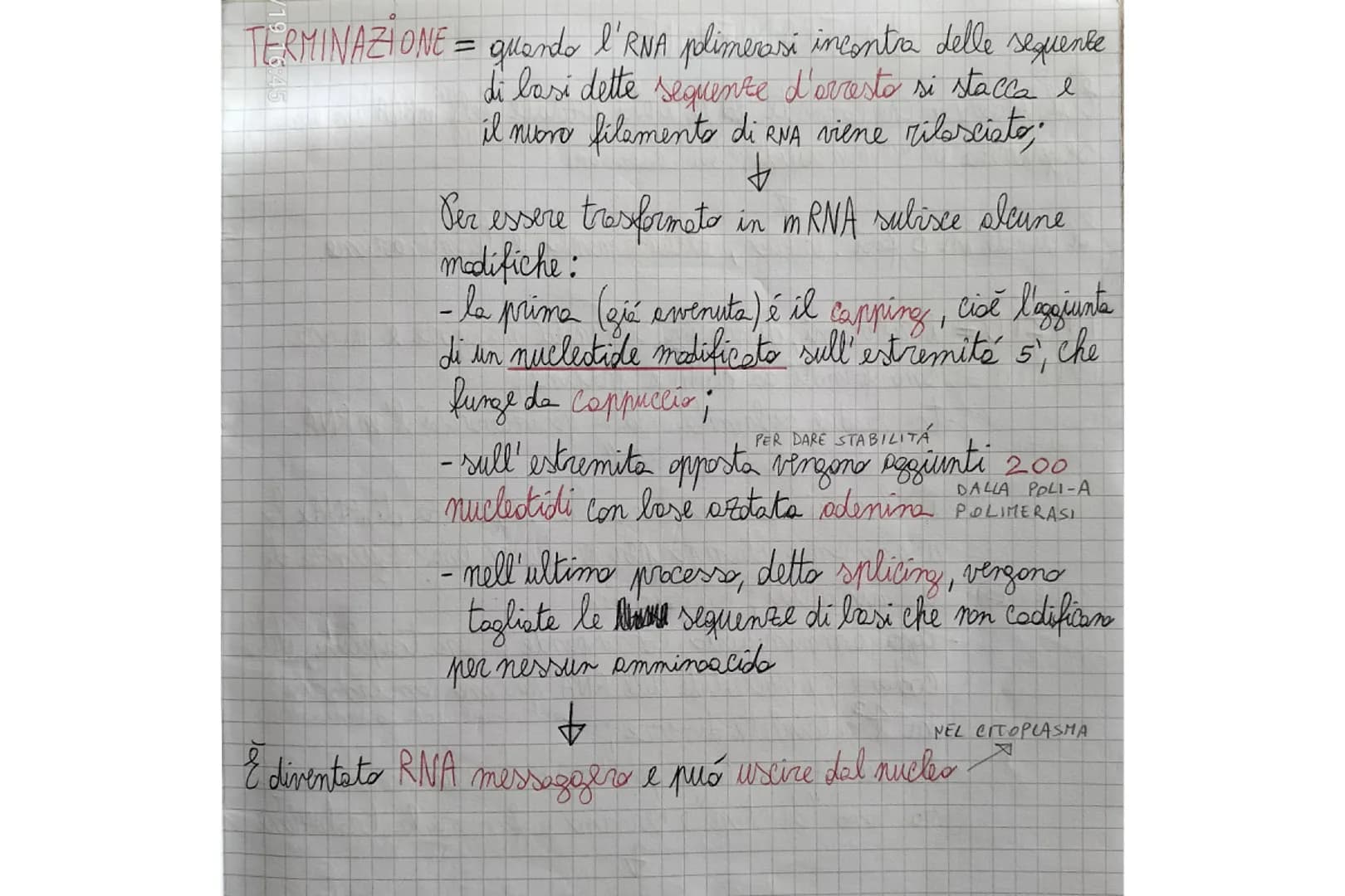 20225
# LA STRUTTURA DEL DNA
Il DNA contiene le informazioni per il funzionamento della cellula e permette l'ereditarietà dei caratteri.
È