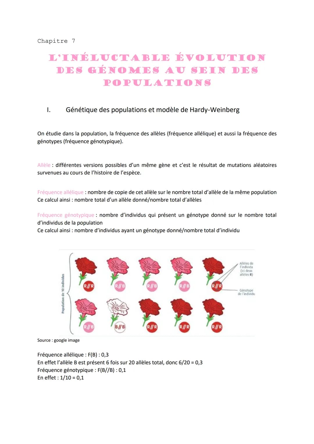 Chapitre 7
L'INÉLUCTABLE ÉVOLUTION
DES GÉNOMES AU SEIN DES
POPULATIONS
1. Génétique des populations et modèle de Hardy-Weinberg
On étudi
