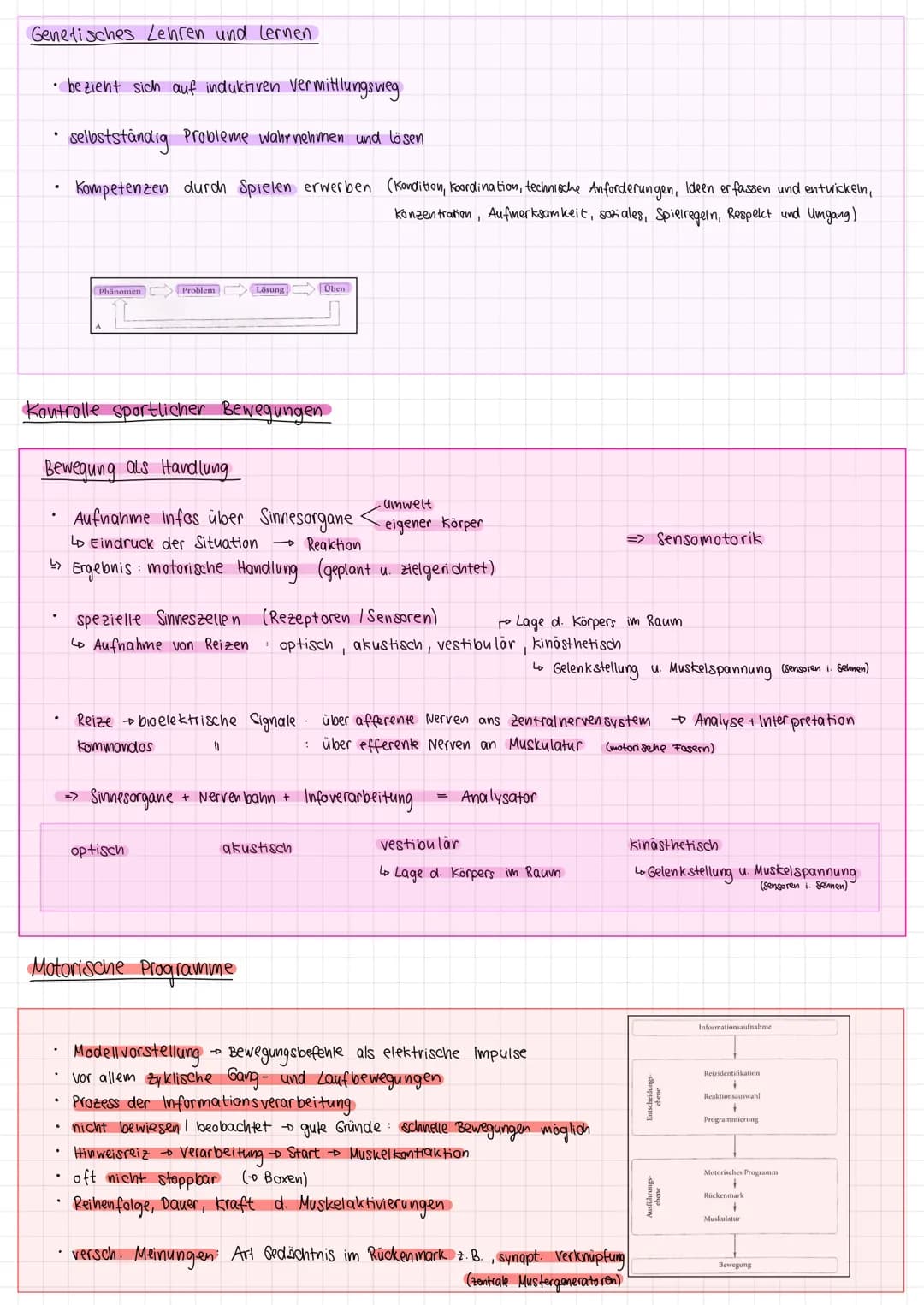 Inhaltsverzeichnis
• Aspekte des motorischen Lernens
S.1
• Lernen und Lernmodelle
S. 1
• Stufenmodell des methodischen Lernens
Meinel u. Sc
