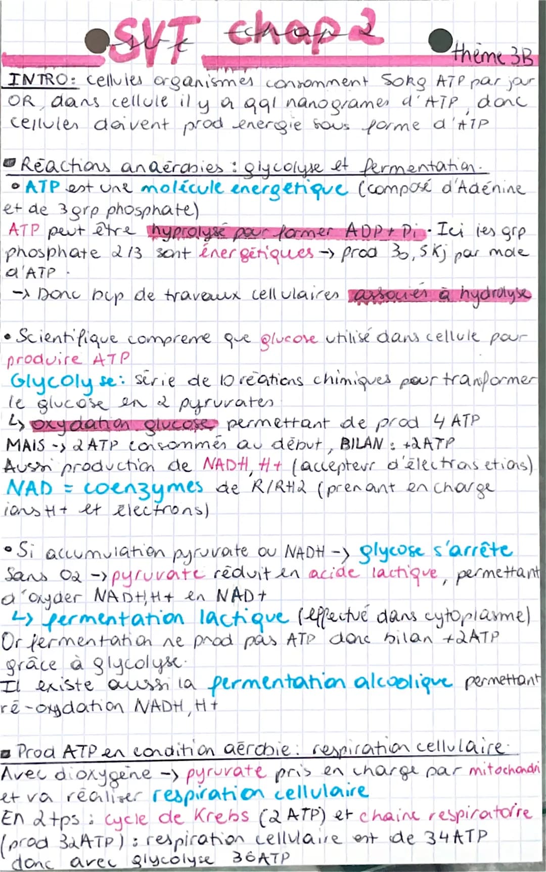 # SVT chap 2 thème 3B
INTRO: cellules organismes consomment Sorg ATP par jour
OR dans cellule il y a gal nanogrames d'ATP, donc
cellules do