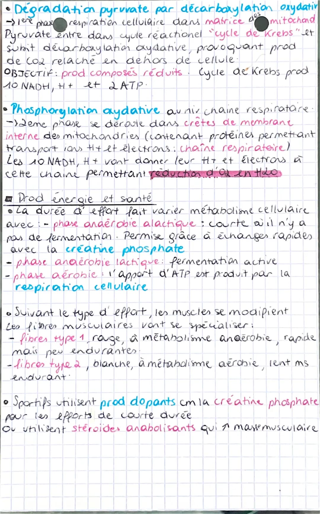 # SVT chap 2 thème 3B
INTRO: cellules organismes consomment Sorg ATP par jour
OR dans cellule il y a gal nanogrames d'ATP, donc
cellules do