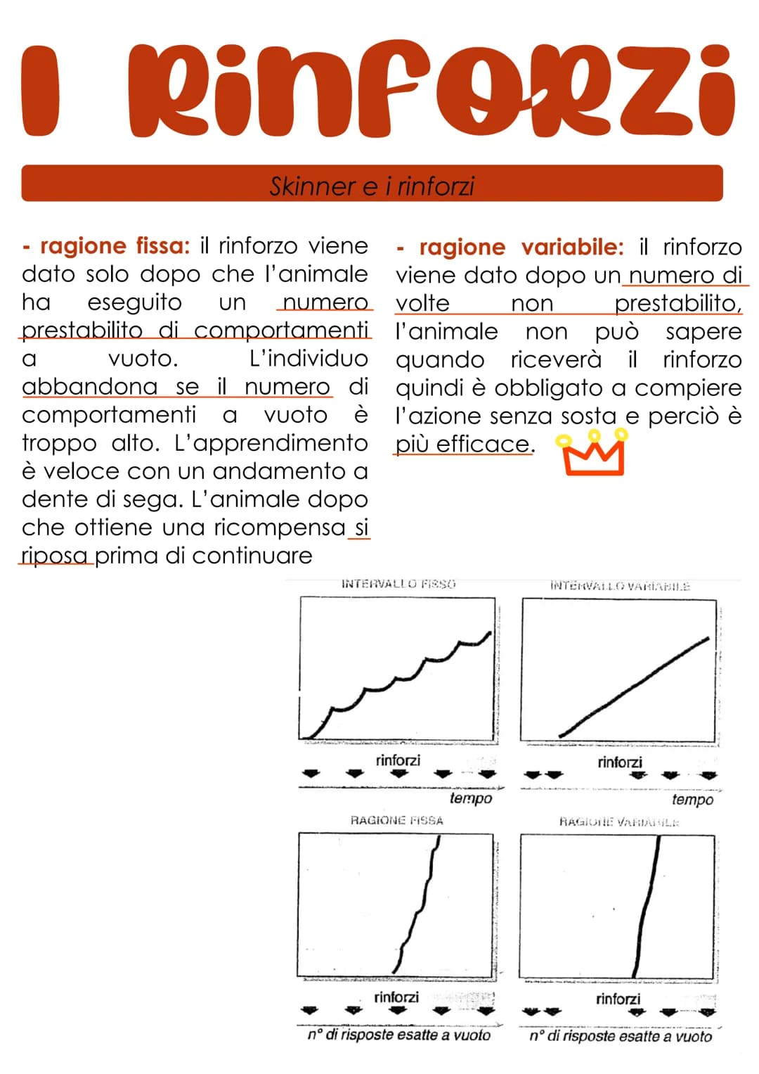 # L'apprendimento
L'apprendimento è il processo con cui un organismo vivente è
modificato più o meno definitivamente da ciò che fa e da
que