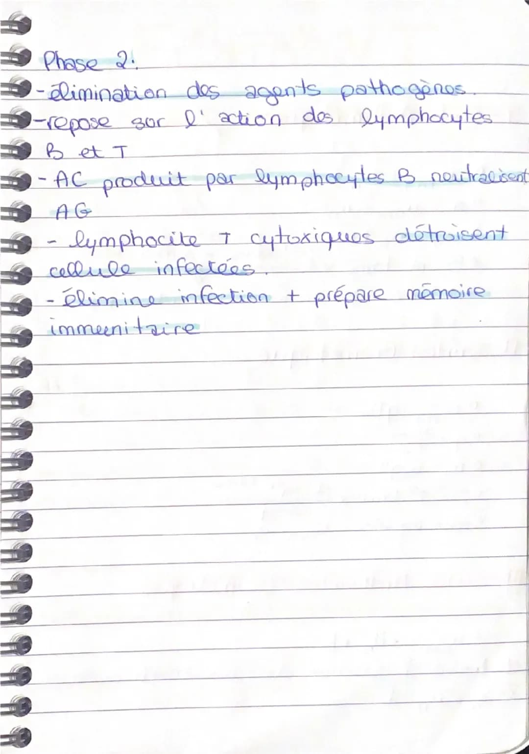 SVT
PARTIE FONCTIONNEMENT SYSTÈME IMMU HUMAIN
IMMUNITÉ INNÉE.
Phase 1: La reconaissance du pathogène
Phase 2: Les collules dendritique n