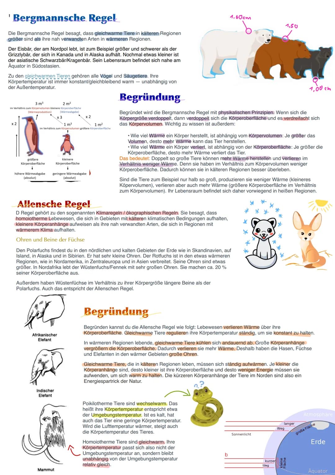 # Abiotische Faktoren
Unter abiotischen Faktoren werden alle Einflüsse zusammengefasst, die von der
unbelebten Umwelt ausgehen. Es handelt