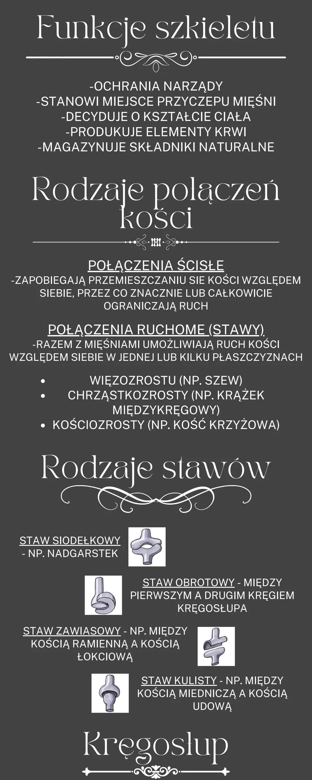 # Uklad ruchu
OGÓLNA BUDOWA I FUNKCJE SZKIELETU
RODZAJE POŁĄCZEŃ KOŚCI
SZKIELET OSIOWY I SZKIELET KOŃCZYN
BUDOWA I FUKCJONOWANIE MIĘŚNI SZK