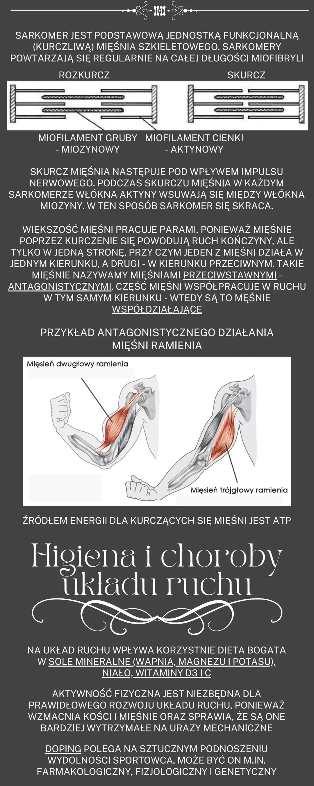 # Uklad ruchu
OGÓLNA BUDOWA I FUNKCJE SZKIELETU
RODZAJE POŁĄCZEŃ KOŚCI
SZKIELET OSIOWY I SZKIELET KOŃCZYN
BUDOWA I FUKCJONOWANIE MIĘŚNI SZK