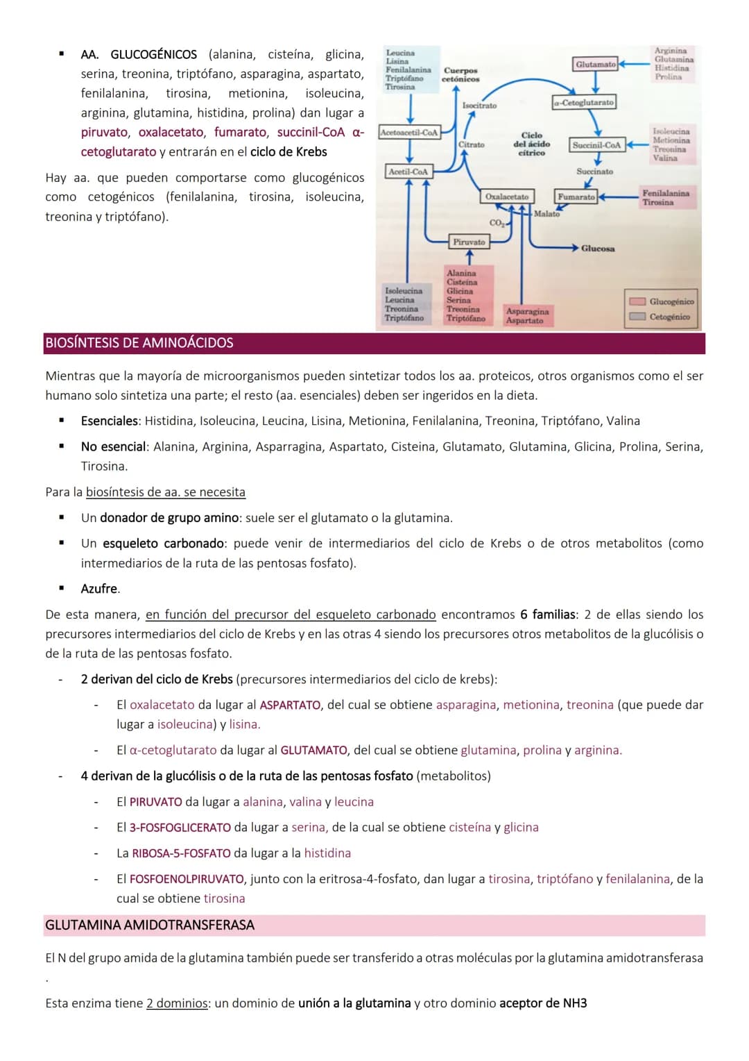 # Degradacion de proteinas.
METABOLISMO DE PROTEÍNAS
Las proteínas de la dieta son los precursores de los compuestos nitrogenados de los a