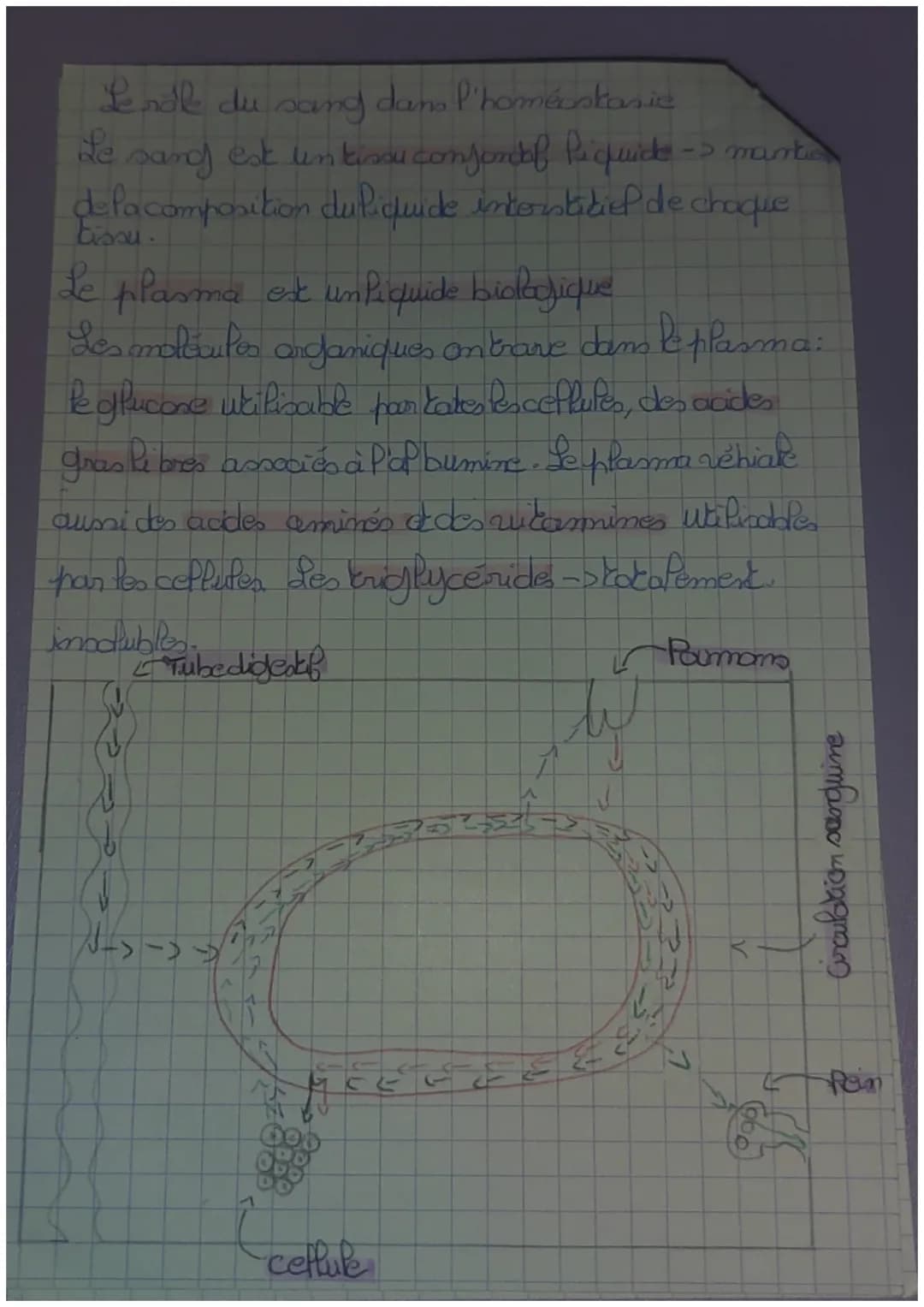 Séancet de miliou intérieur et saregulation
Les différents comportimonks Picquidiom
Le carps = 60% d'eau qui ne répartit entre différents