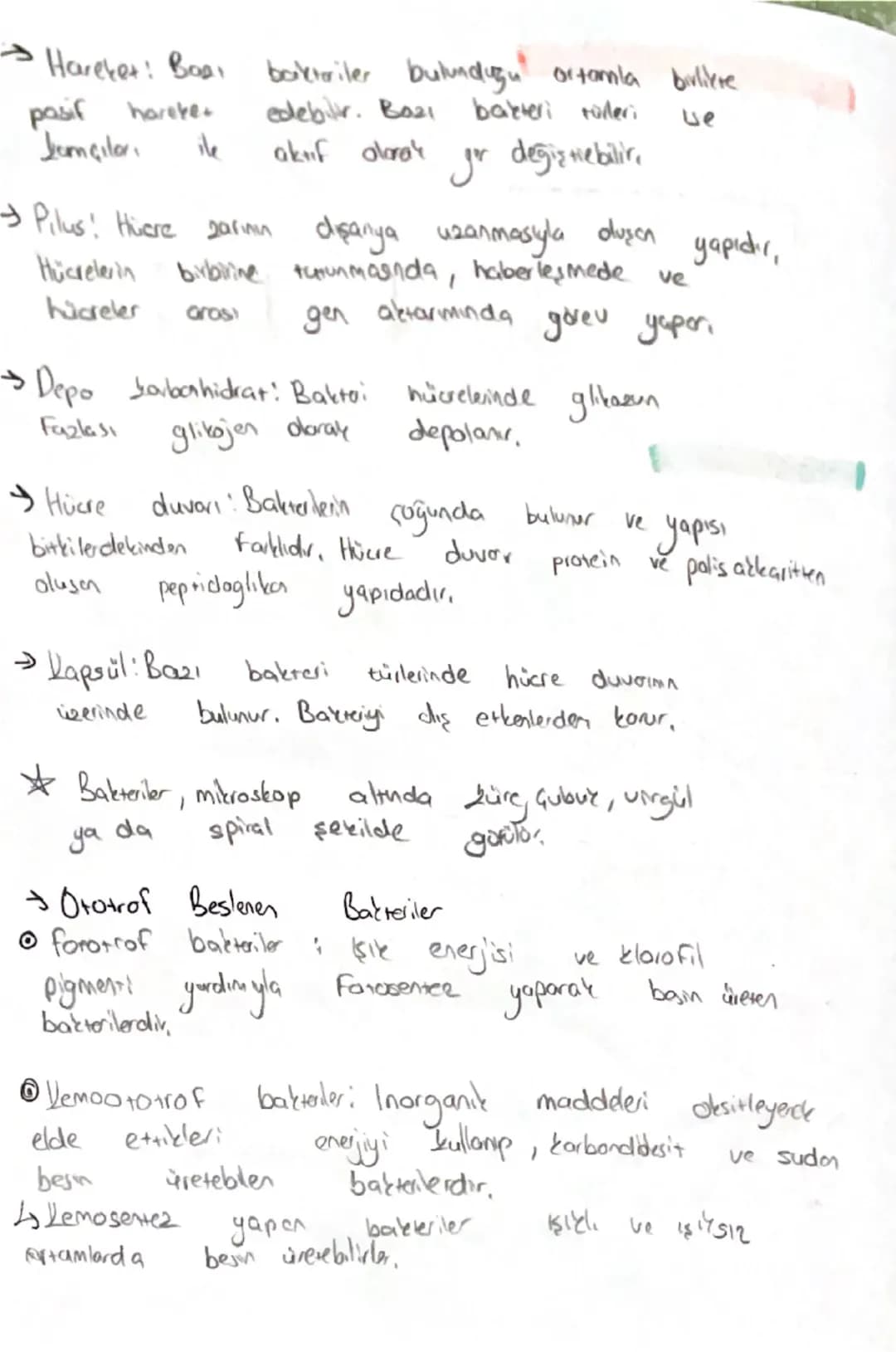 -BİYOLOJI-
Domain
Bakreler
↓
Arkeler
Okaryotlor
Prokayot
↓
Protista
Bitkiler
Marab Hayvanlar
→Bakteriler
• Bu âlende yer alan bütün con
