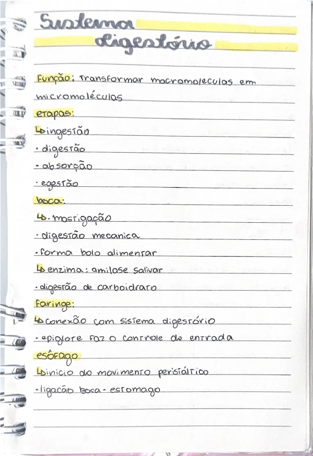 # Sistema digestório
Função: transformar macromoléculas em micromoléculas
etapas:
- ingestão
- digestão
- absorção
- egestão
boca:
- masti