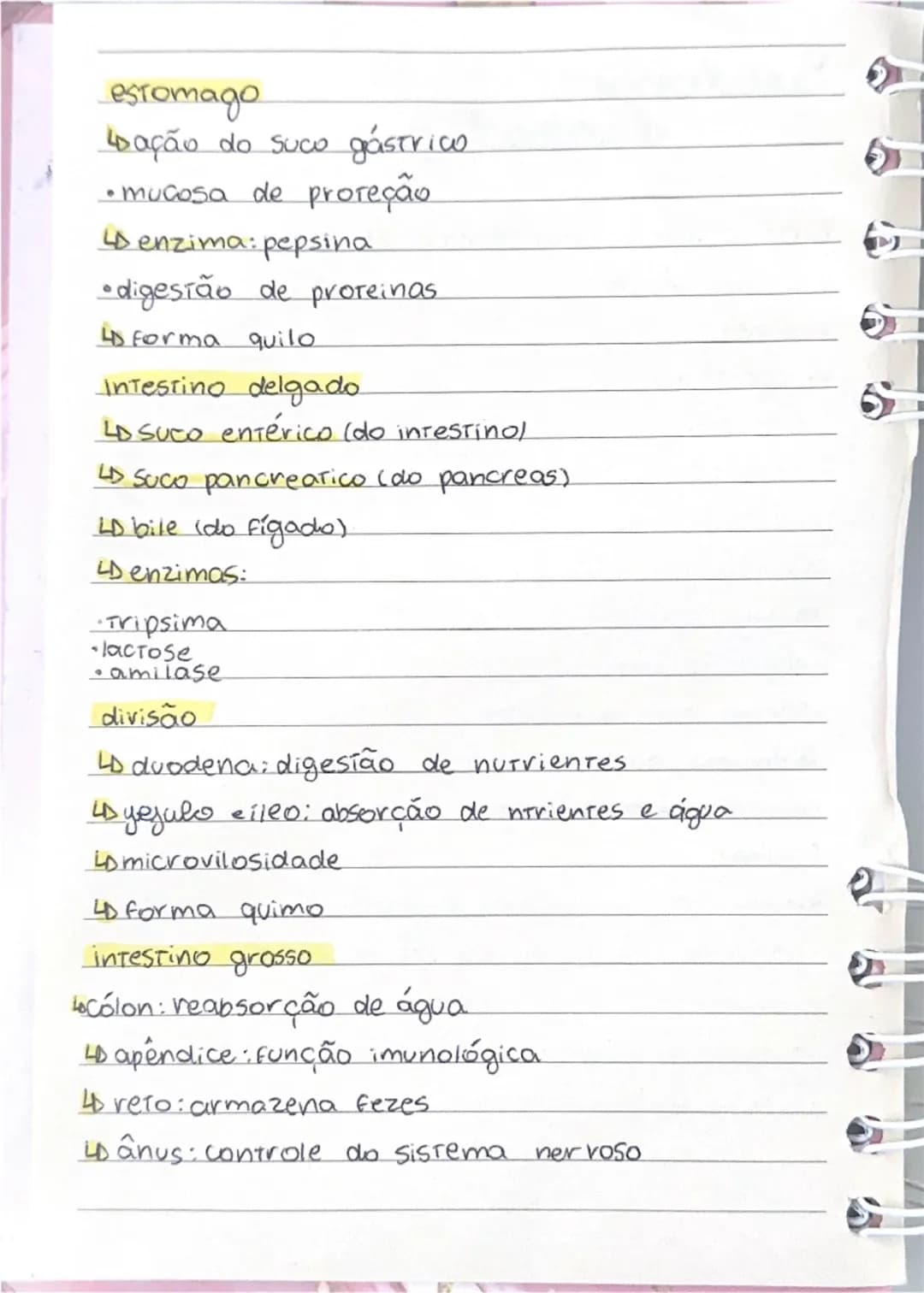 # Sistema digestório
Função: transformar macromoléculas em micromoléculas
etapas:
- ingestão
- digestão
- absorção
- egestão
boca:
- masti