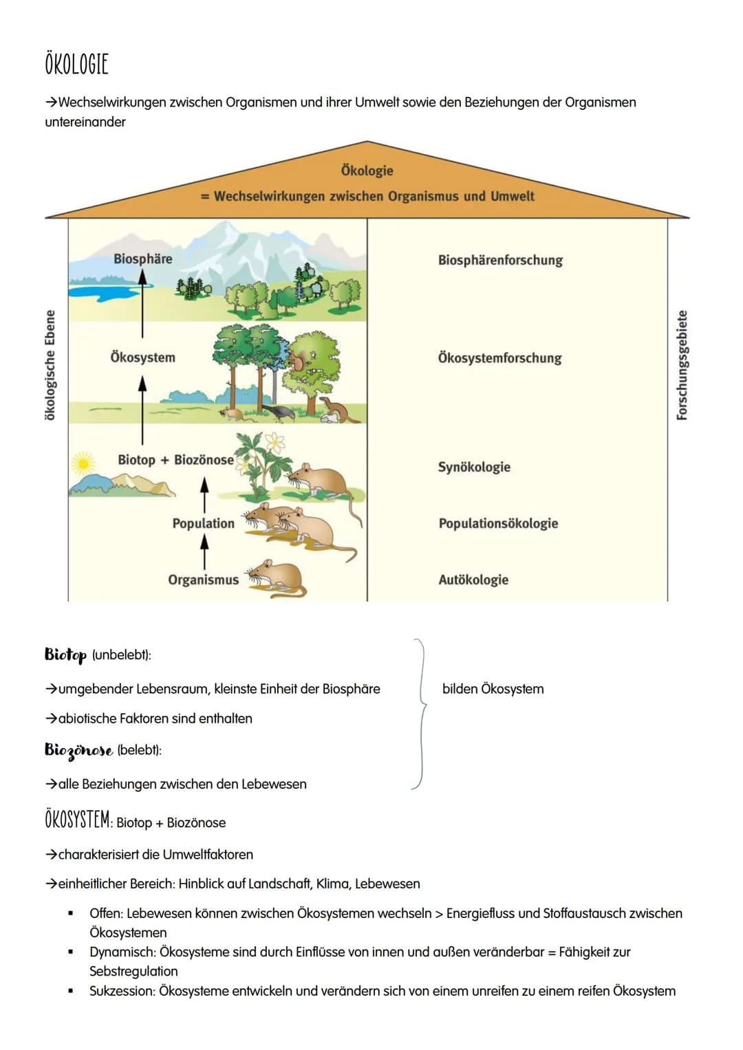 ÖKOLOGIE # ÖKOLOGIE
→Wechselwirkungen zwischen Organismen und ihrer Umwelt sowie den Beziehungen der Organismen
untereinander
Biosphäre
Ö