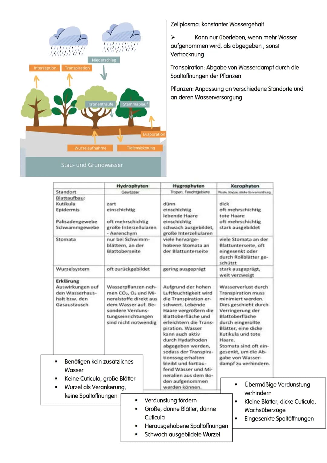 ÖKOLOGIE # ÖKOLOGIE
→Wechselwirkungen zwischen Organismen und ihrer Umwelt sowie den Beziehungen der Organismen
untereinander
Biosphäre
Ö