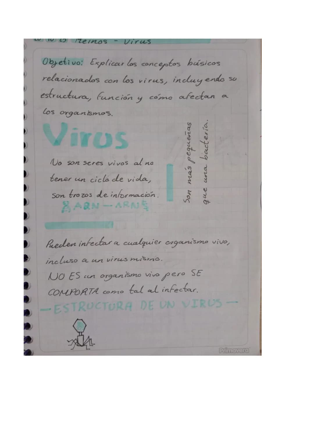01025 Reinos - Virus
Objetivo: Explicar los conceptos básicos
relacionados con los virus, incluyendo so
estructura, función y cómo afectan