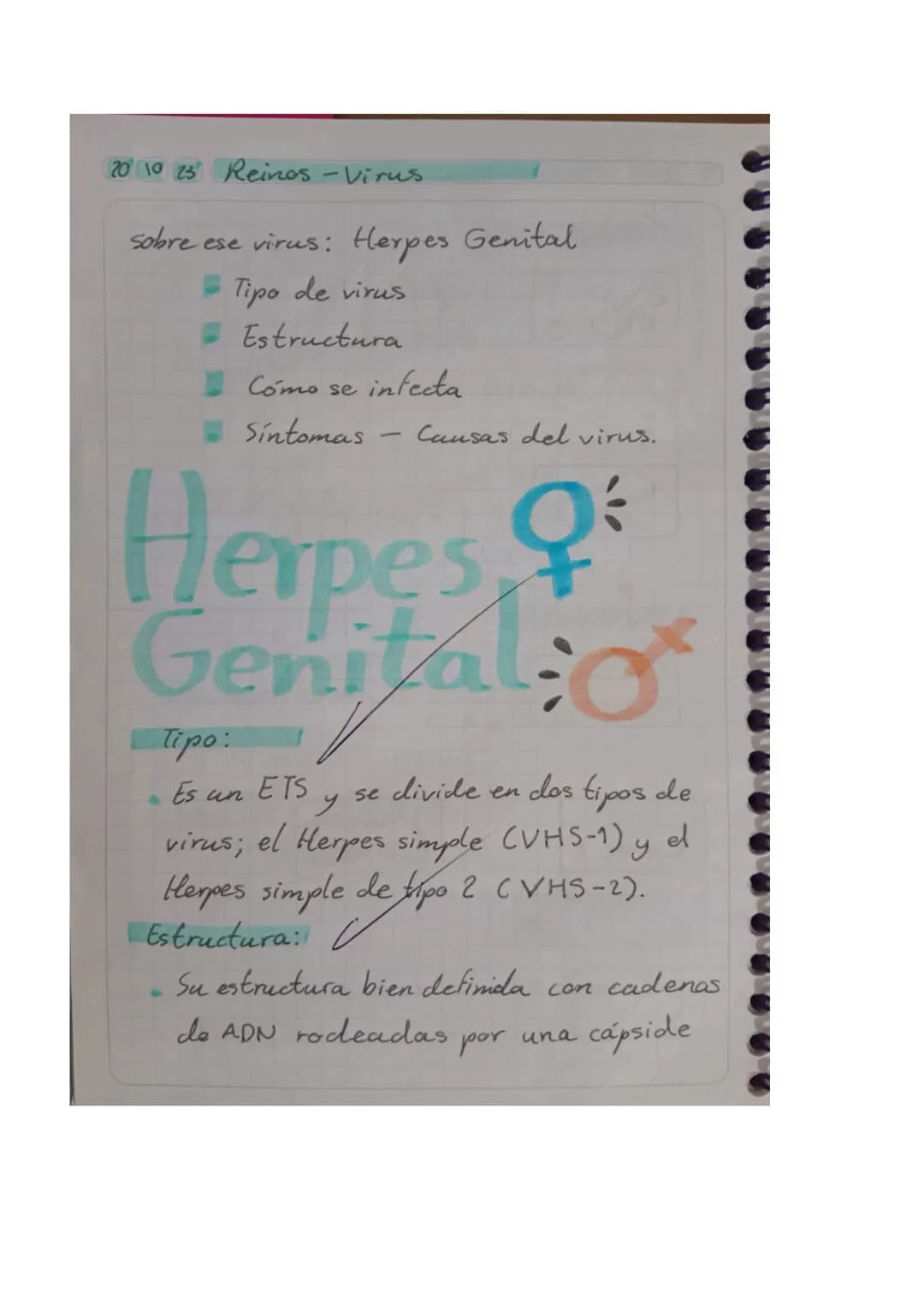01025 Reinos - Virus
Objetivo: Explicar los conceptos básicos
relacionados con los virus, incluyendo so
estructura, función y cómo afectan
