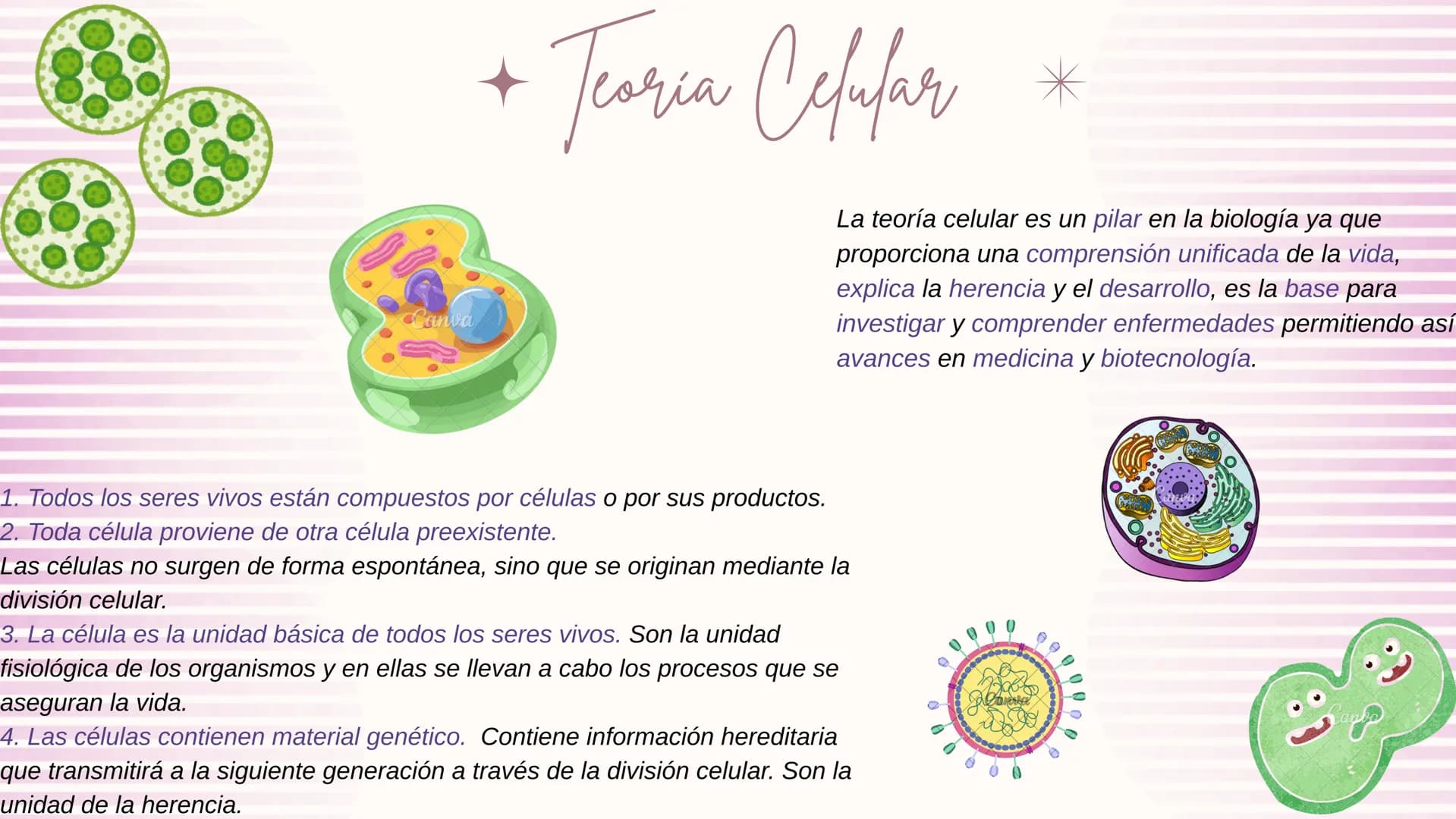 * Teoria Celular *
La teoría celular es un pilar en la biología ya que
proporciona una comprensión unificada de la vida,
explica la herenci