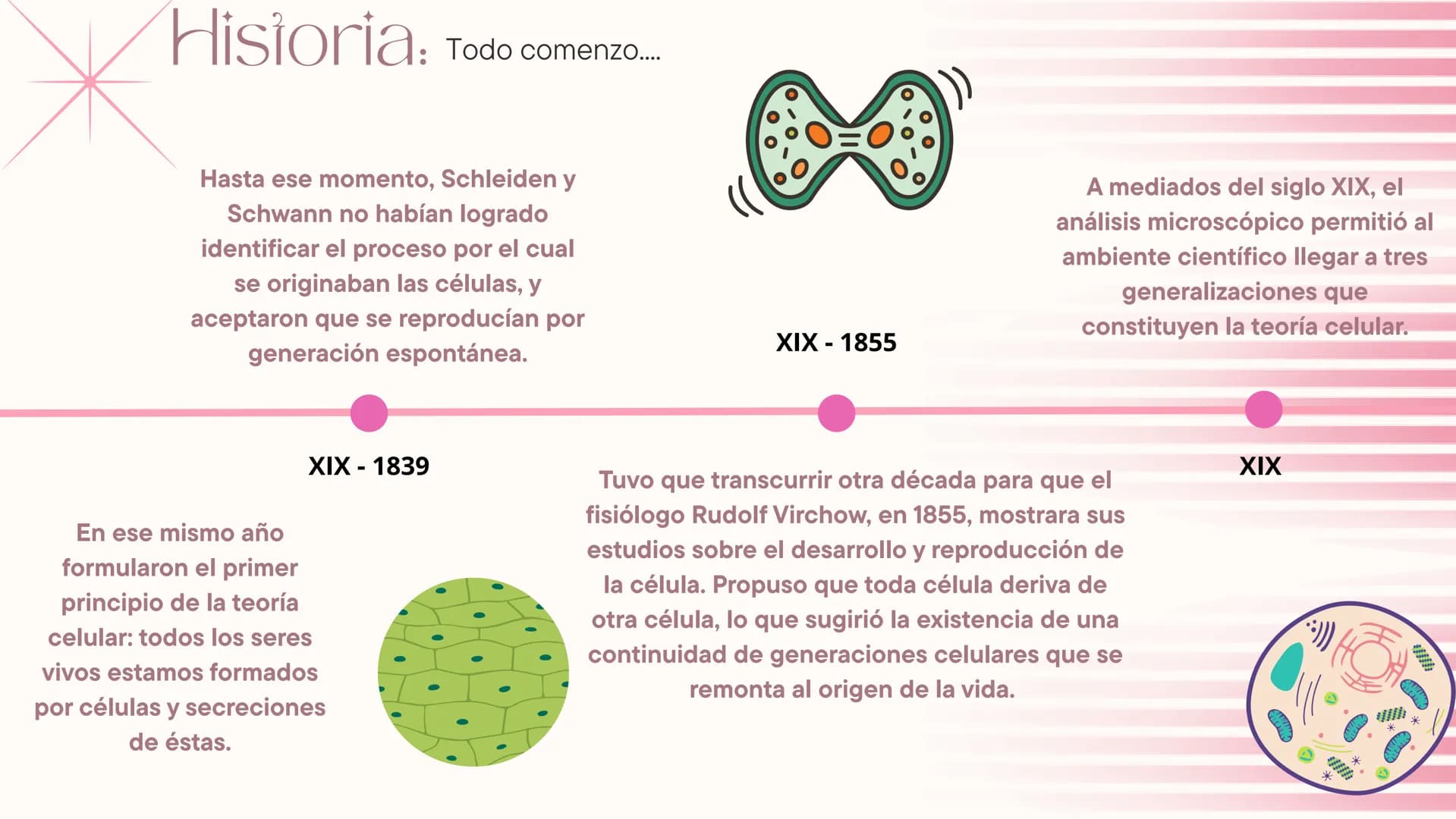 * Teoria Celular *
La teoría celular es un pilar en la biología ya que
proporciona una comprensión unificada de la vida,
explica la herenci