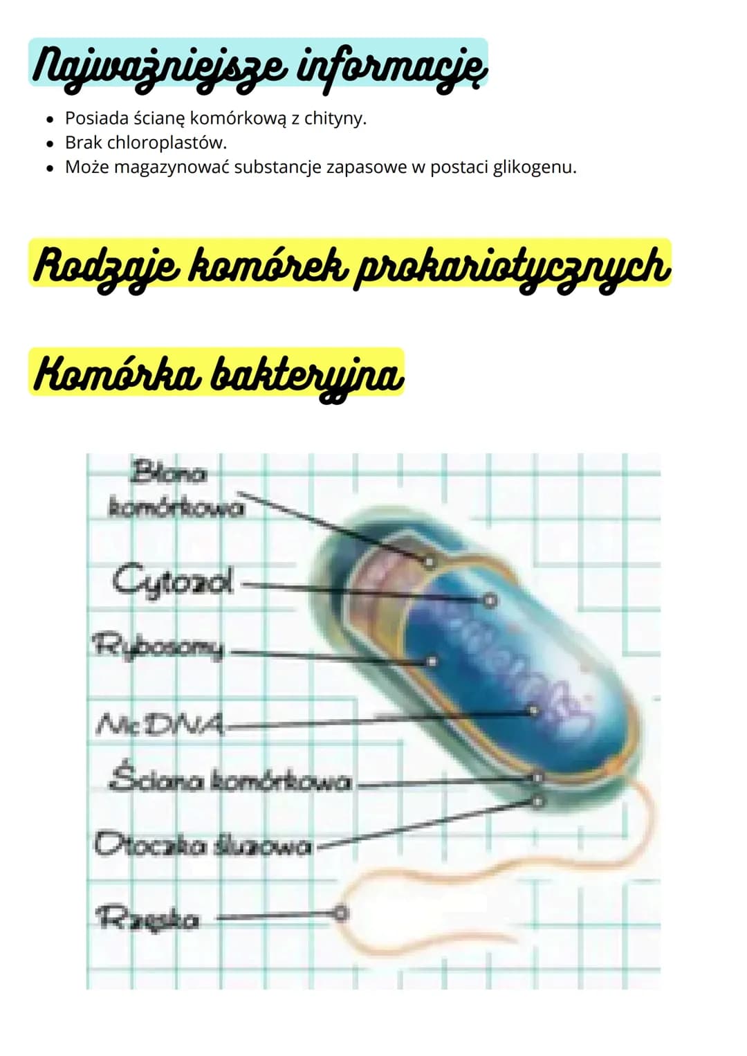 # Budowa i funkcja komórki. Rodzaje
komórek
## Komórki
### prokariotyczne eukariotyczne
* nie mają jądra komórkowego
* komórki m.in.