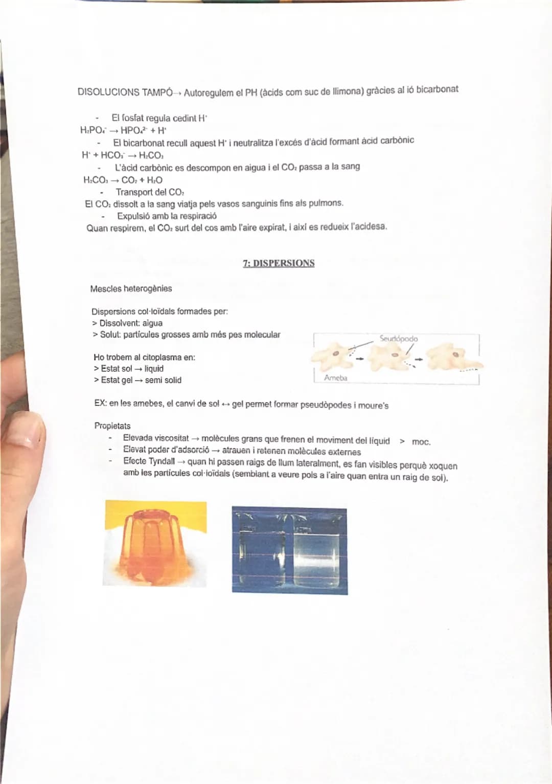 # 1: LA BIOLOGIA I ELS ÉSSERS VIUS
Els organismes vius fan les 3 funcions vitals:
1. Nutrició (alimentació, digestió, excreció, respiració