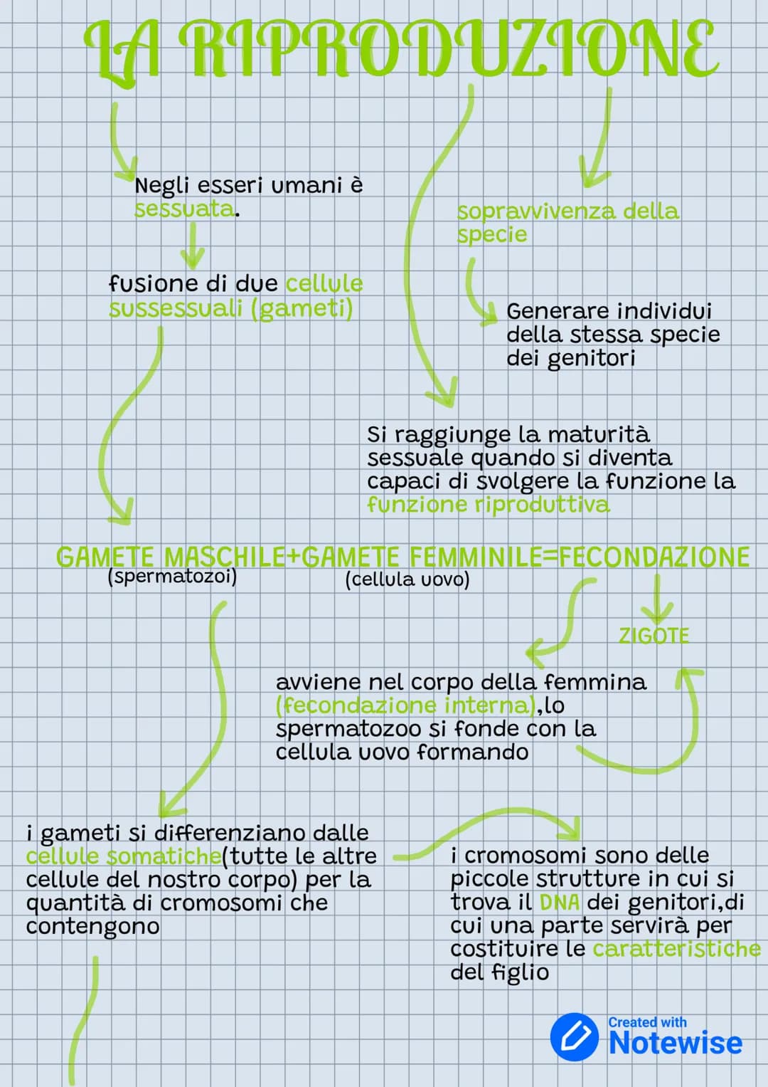 # LA RIPRODUZIONE
Negli esseri umani è
sessualta
fusione di due cellule
sussessuali (gameti)
sopravvivenza della
specie
Generare individ