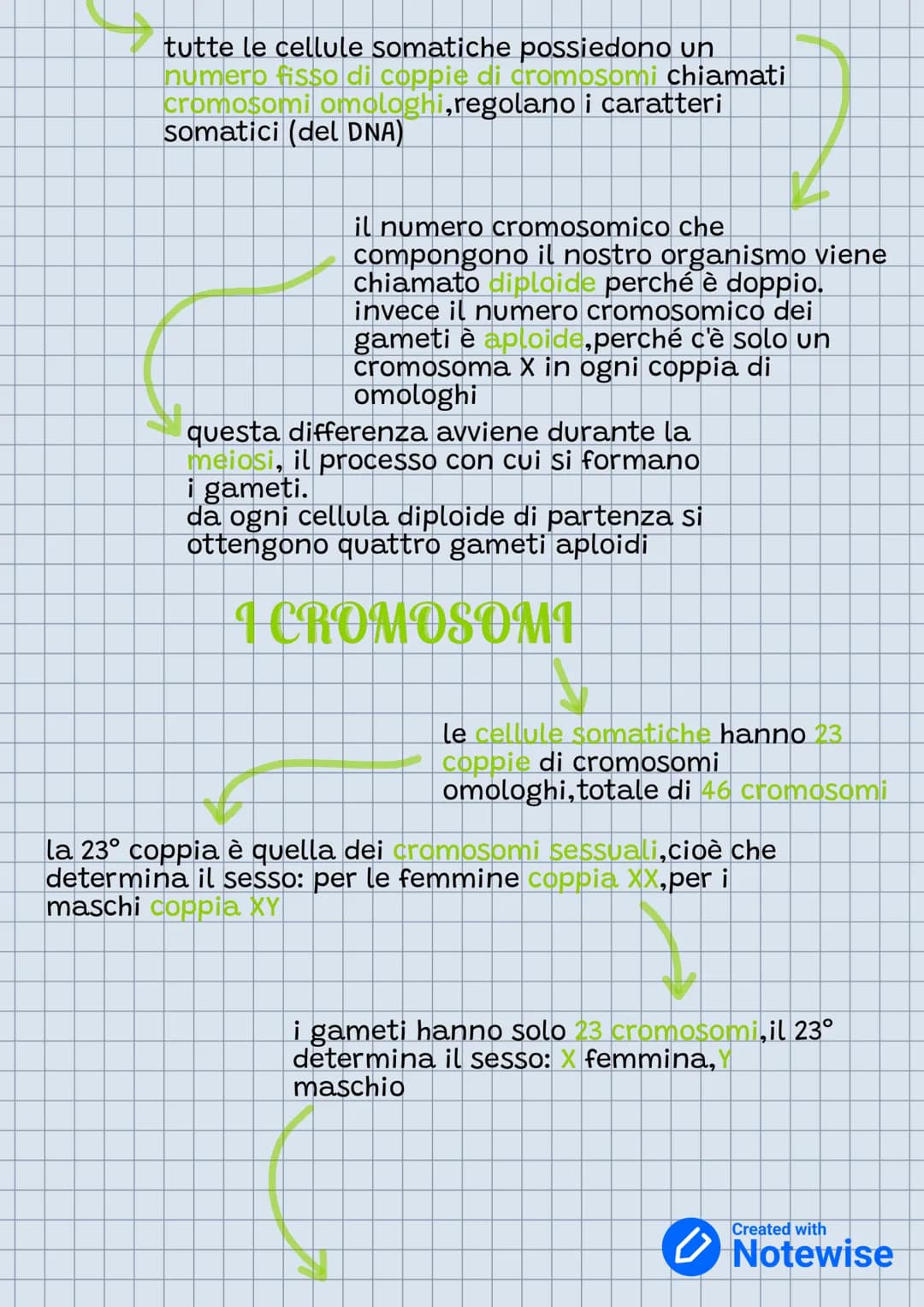 # LA RIPRODUZIONE
Negli esseri umani è
sessualta
fusione di due cellule
sussessuali (gameti)
sopravvivenza della
specie
Generare individ