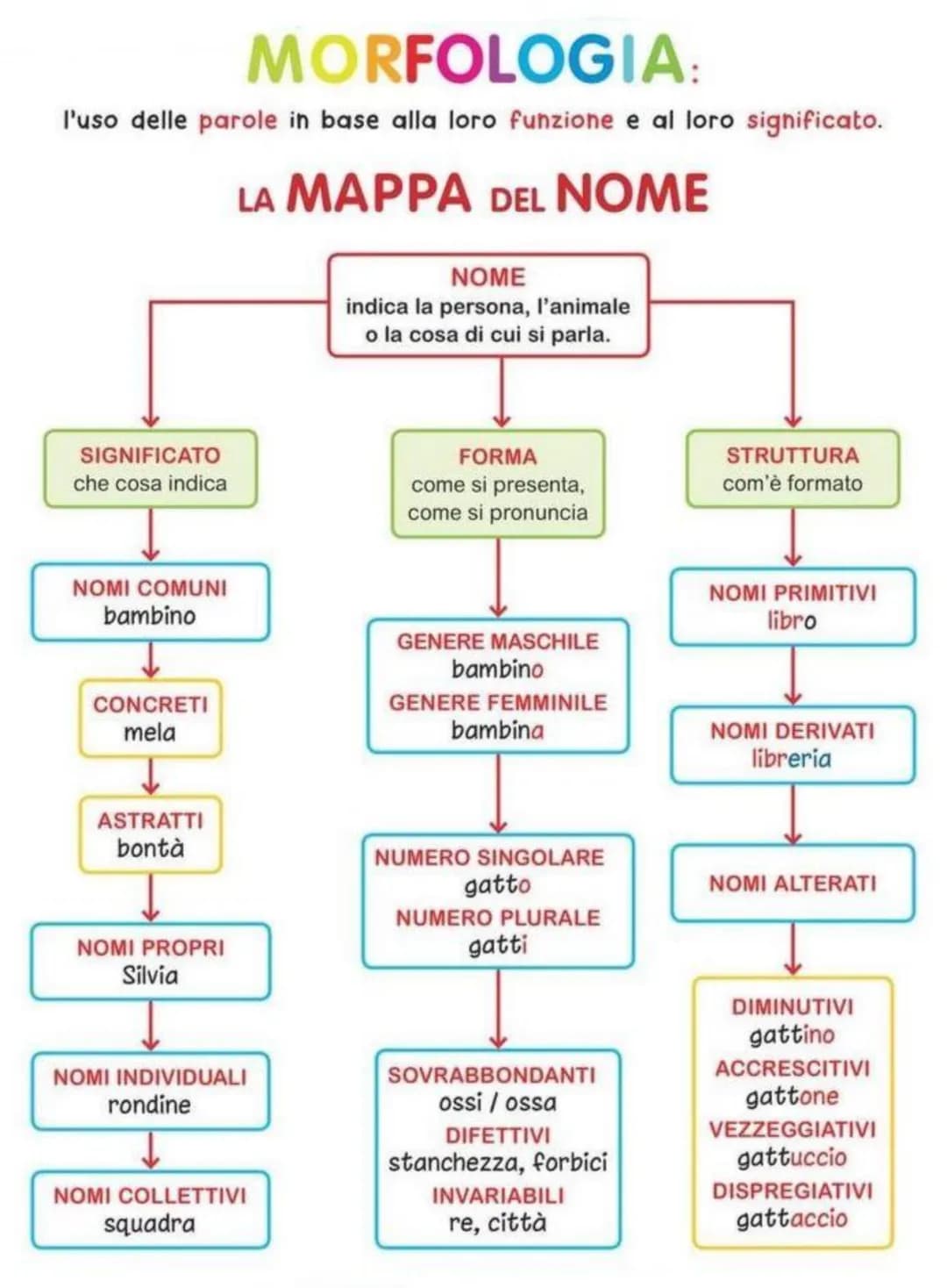 # MORFOLOGIA:
l'uso delle parole in base alla loro funzione e al loro significato.
# LA MAPPA DEL NOME
NOME
indica la persona, l'animale
o