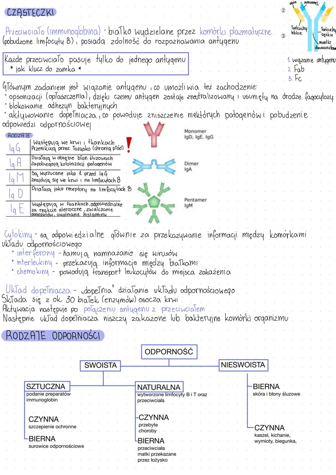 # UKŁAD ODPORNOŚCIOWY
Jest to układ rozproszony
Tworzą o wszystkie narządy układu limfatycznego
Podstawową zdolnością układu immunologiczne