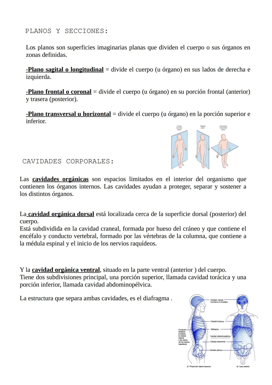 # ANATOMIA
INTRODUCCION:
La anatomía estudia la estructura y la forma del cuerpo, también estudia sus partes u
órganos y las relaciones qu