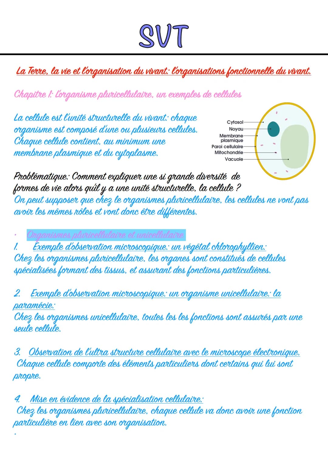 # SVT
La Terre, la vie et l'organisation du vivant: l'organisations fonctionnelle du vivant.
Chapitre 1: L'organisme pluricellulaire, un e