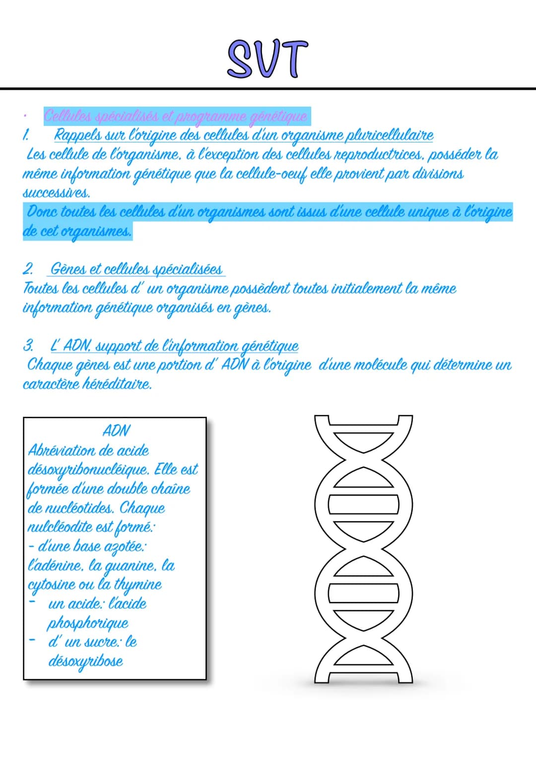 # SVT
La Terre, la vie et l'organisation du vivant: l'organisations fonctionnelle du vivant.
Chapitre 1: L'organisme pluricellulaire, un e