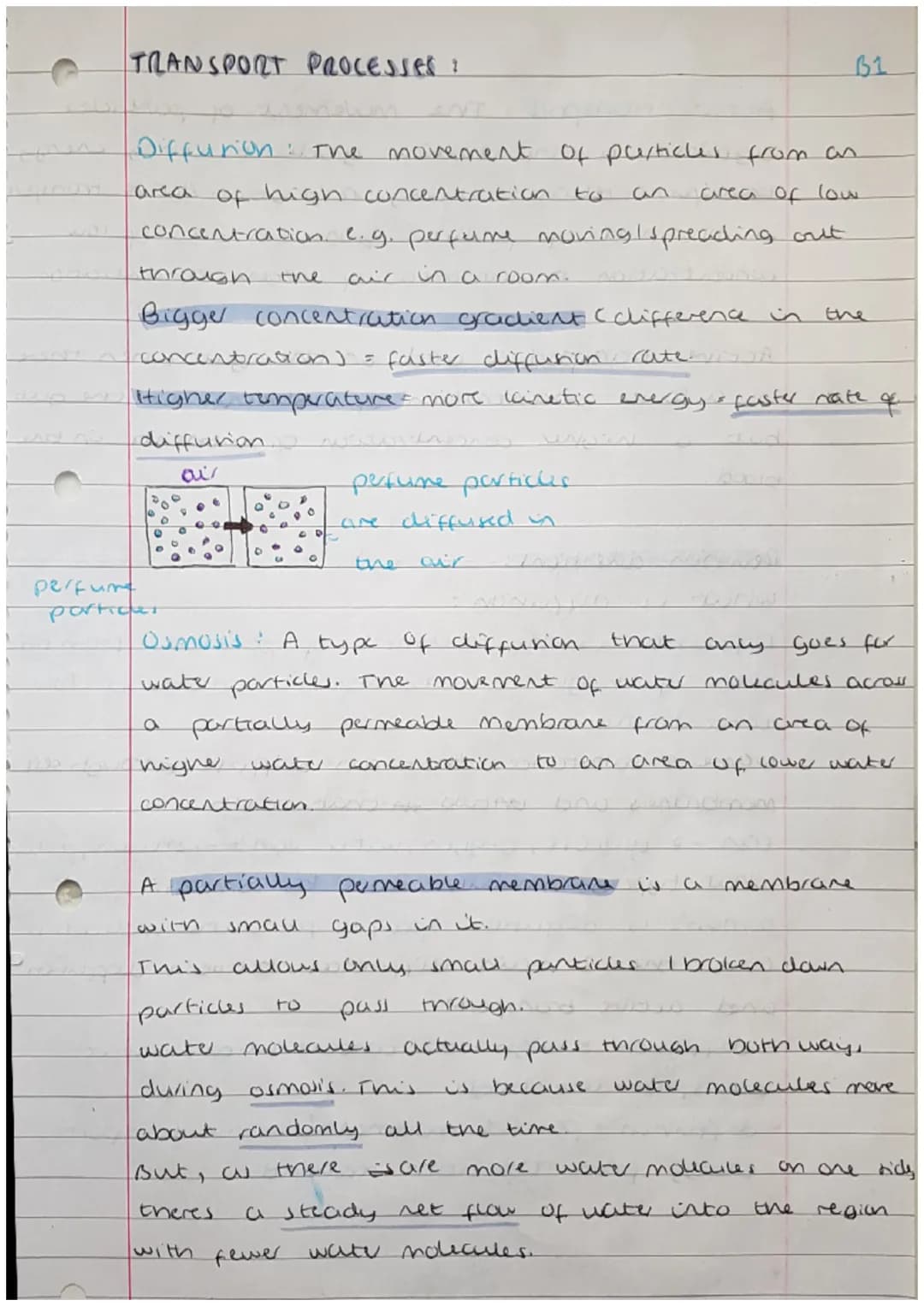 <h2>Cells</h2>
<p>Cells can be either prokaryotic or eukaryotic. Eukaryotic cells are found in animals and plants. Prokaryotic cells are si