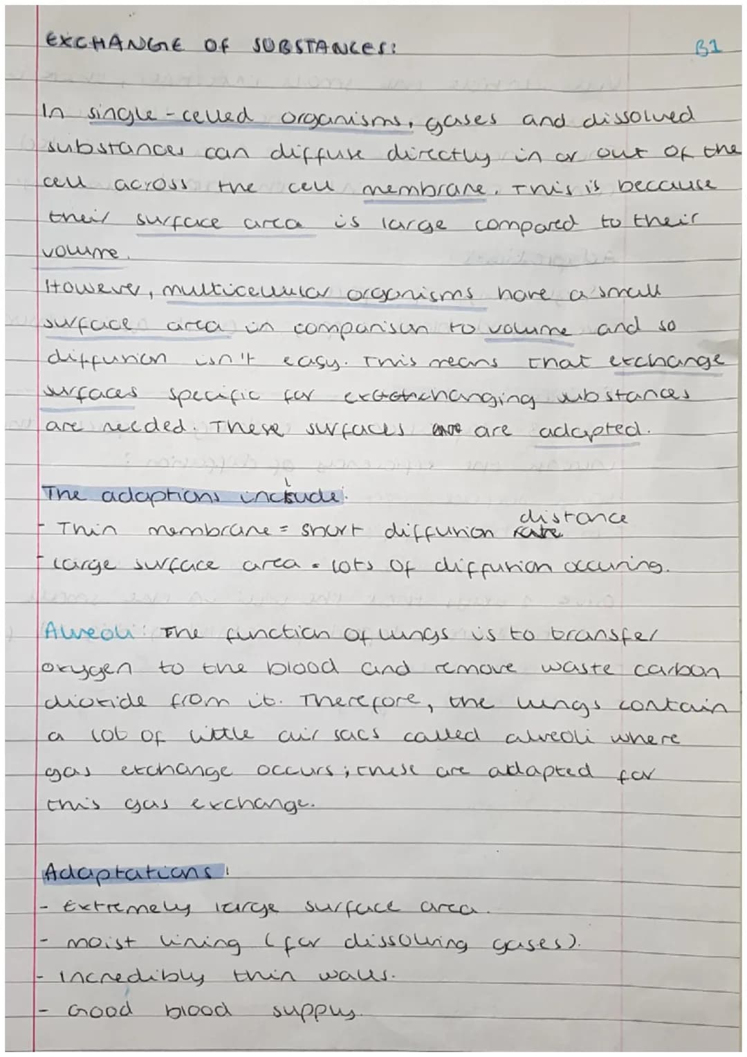 <h2>Cells</h2>
<p>Cells can be either prokaryotic or eukaryotic. Eukaryotic cells are found in animals and plants. Prokaryotic cells are si